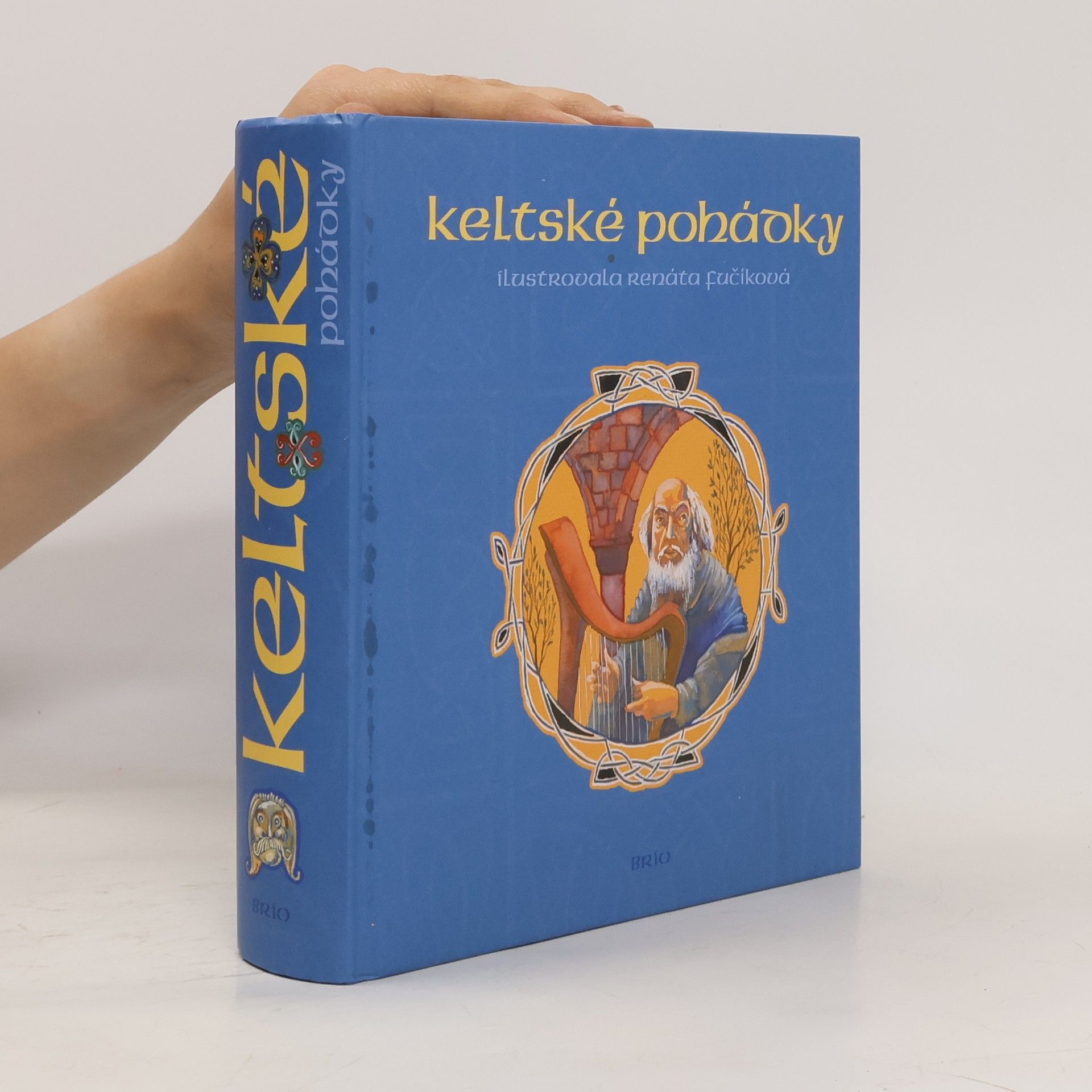 Renáta Fučíková Keltské pohádky : [z francouzských literárních zdrojů]