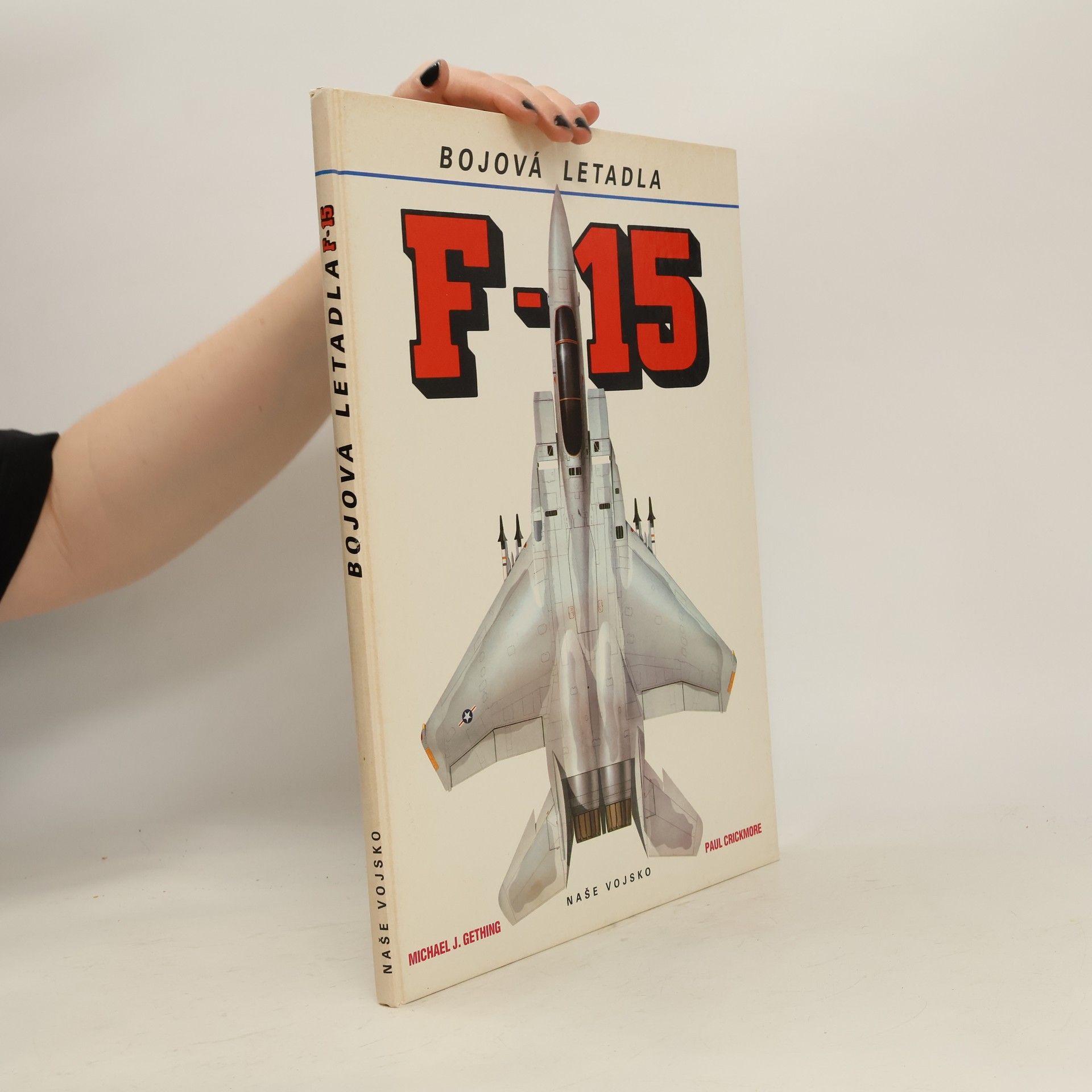 Michael J. Gething F-15