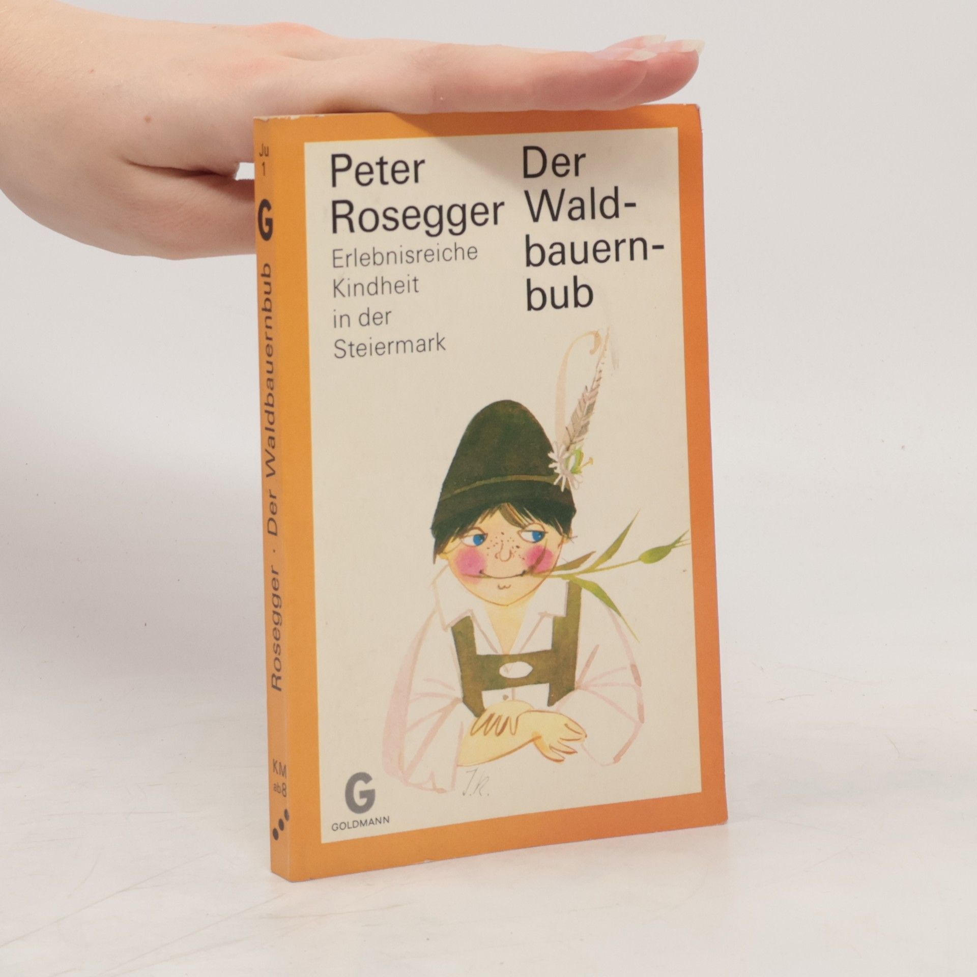 Peter Rosegger Der Waldbauernbub