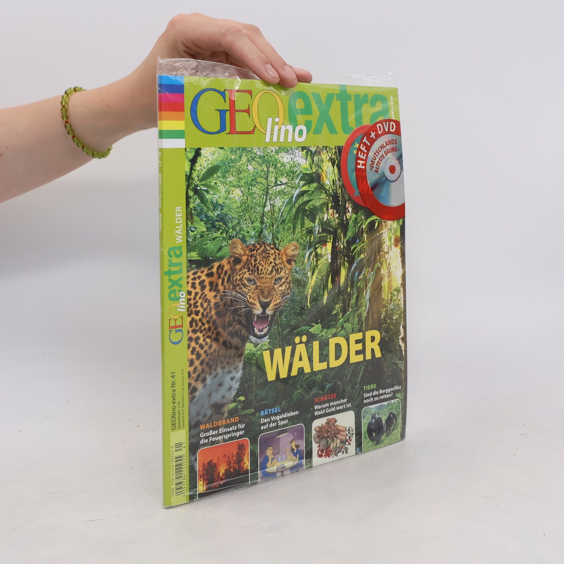 kolektiv Wälder, m. DVD