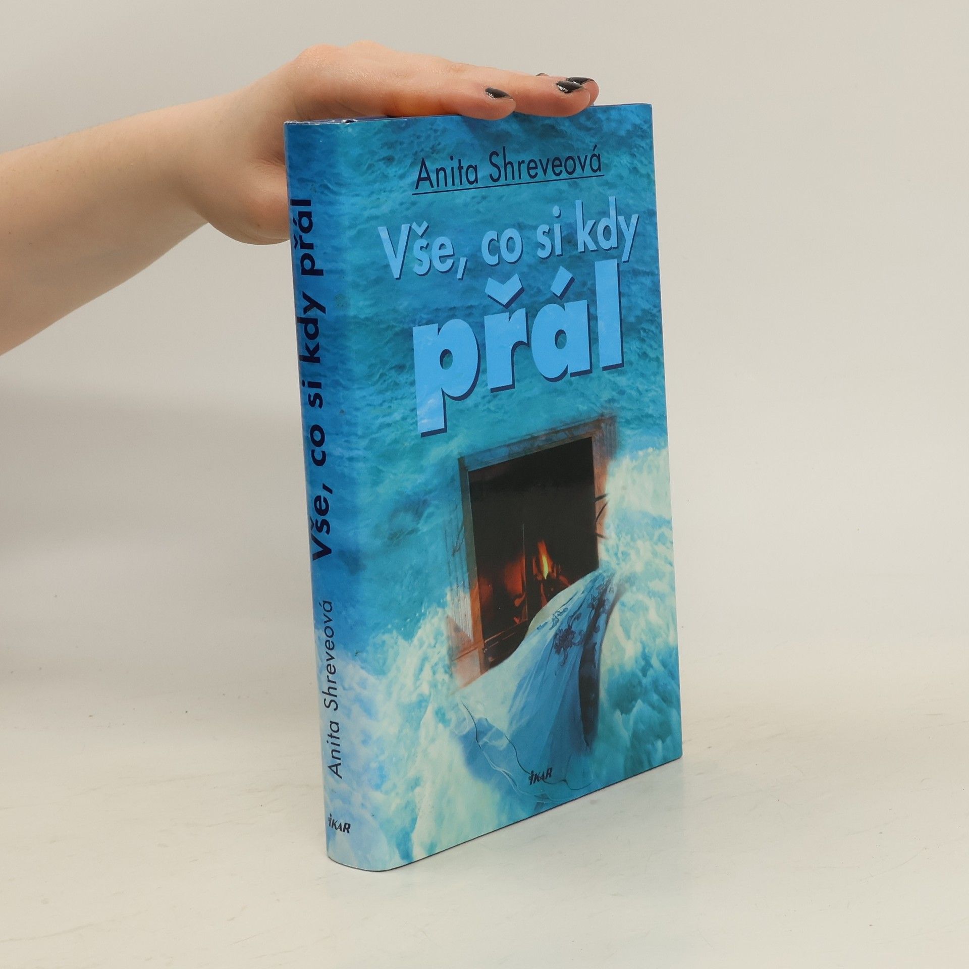 Anita Shreve Vše, co si kdy přál