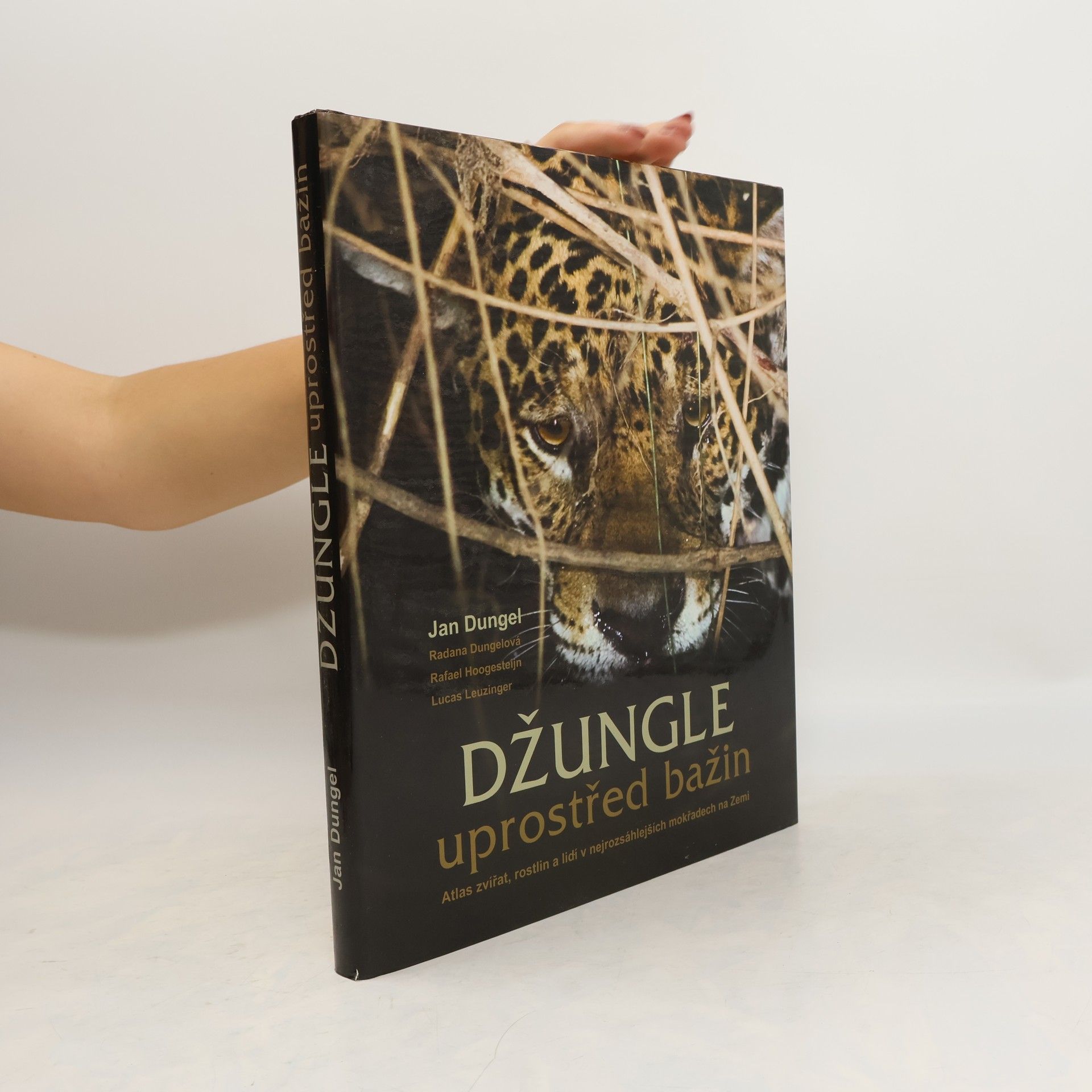 Jan Dungel Džungle uprostřed bažin