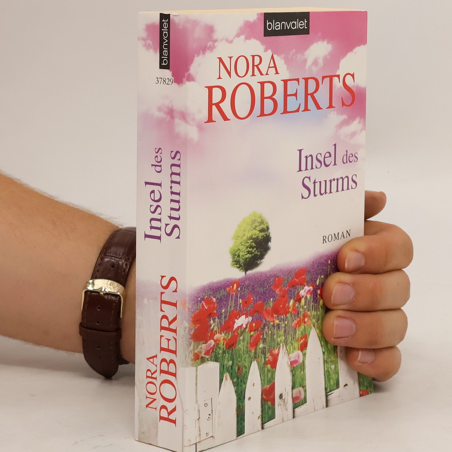 Nora Roberts Insel des Sturms