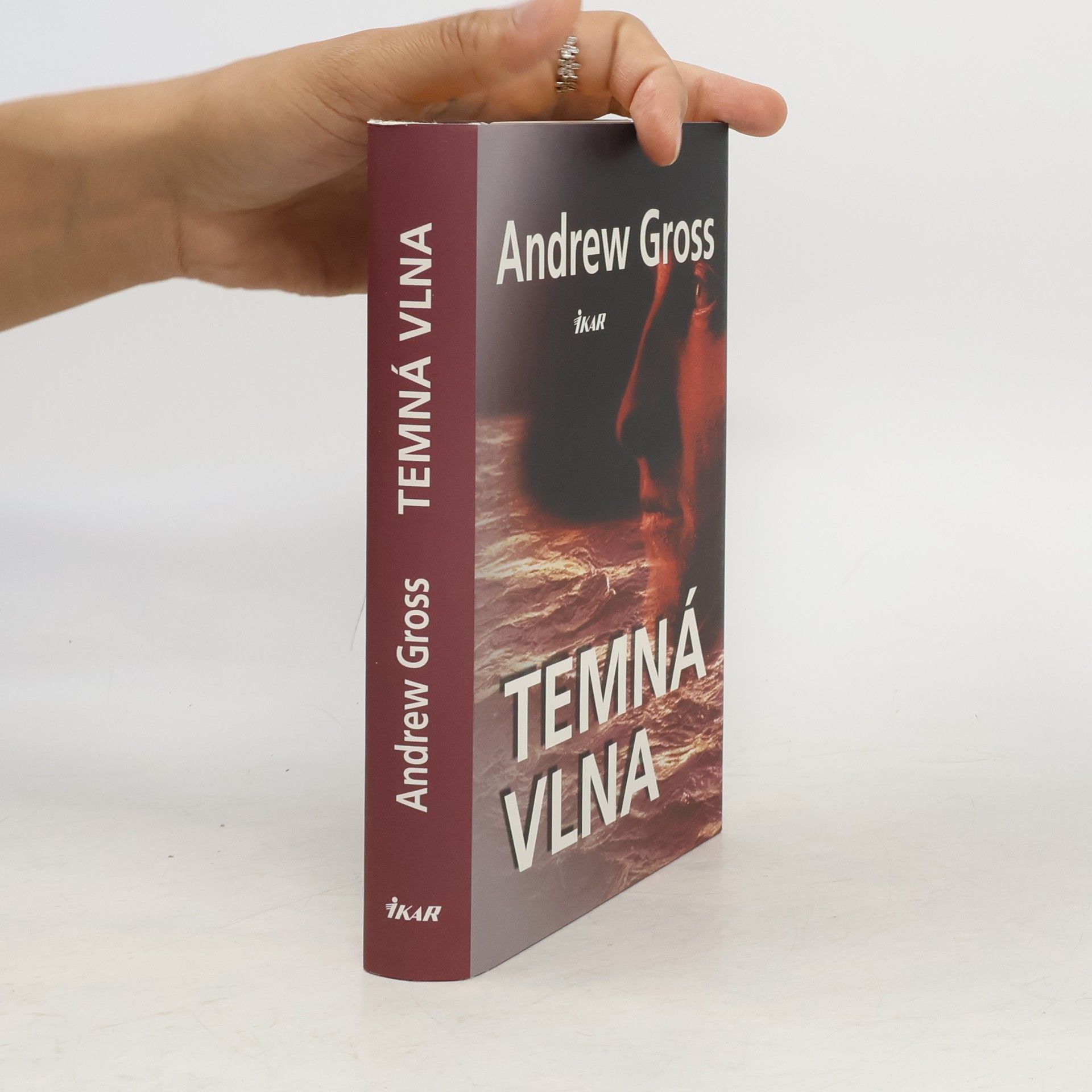 Andrew Gross Temná vlna