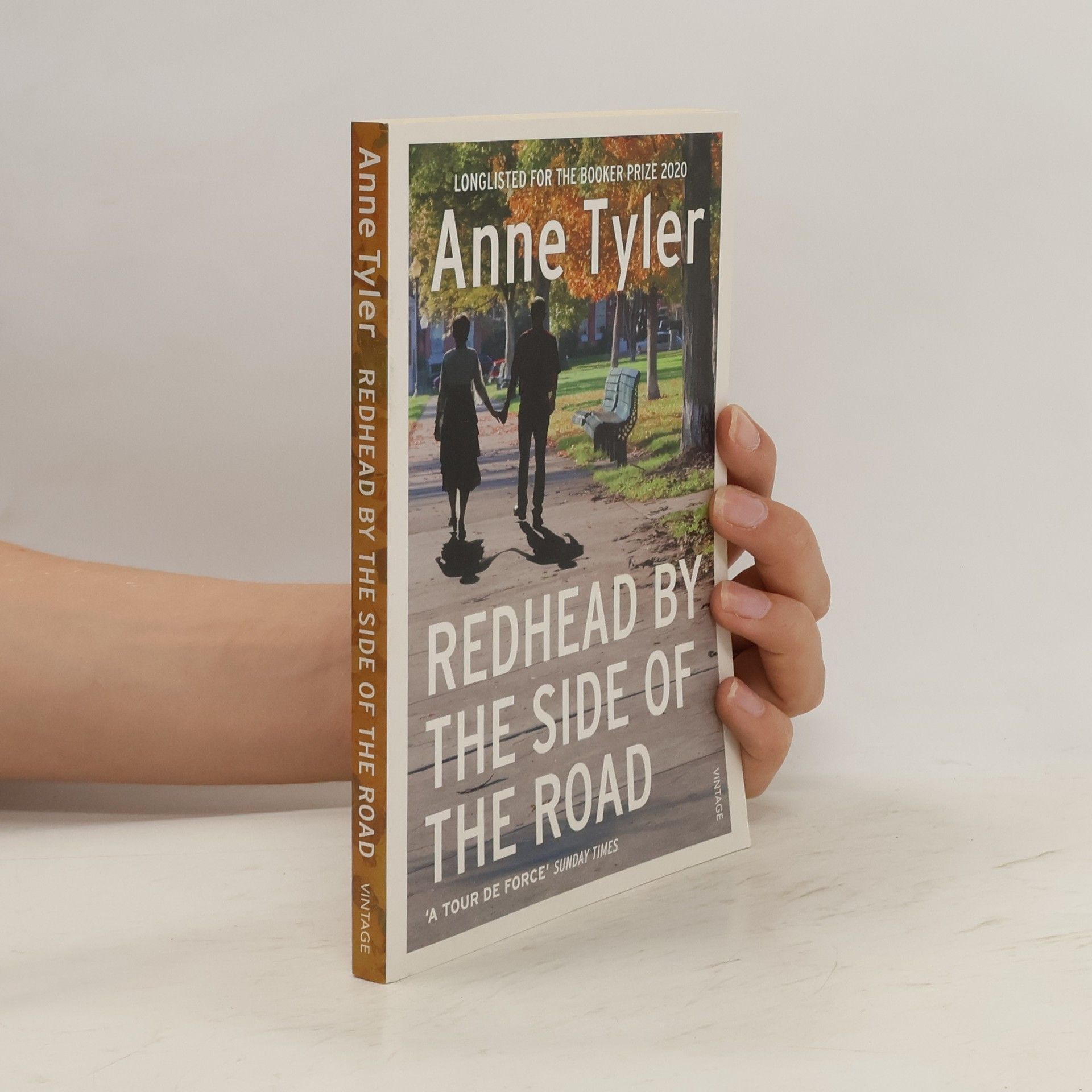 Anne Tyler Redhead by the Side of the Road