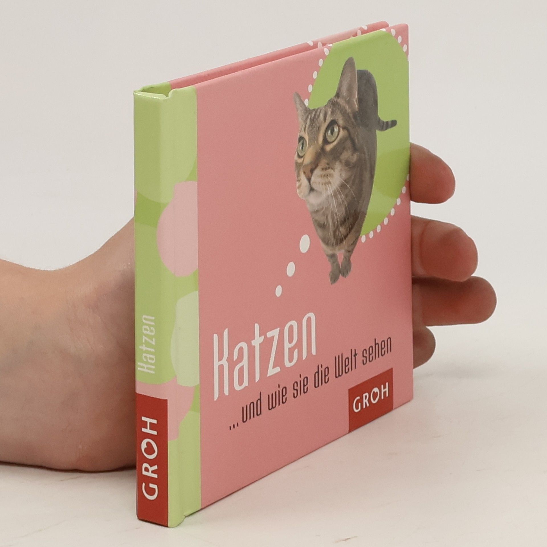 Lilly Brown Katzen... und wie sie die Welt sehen