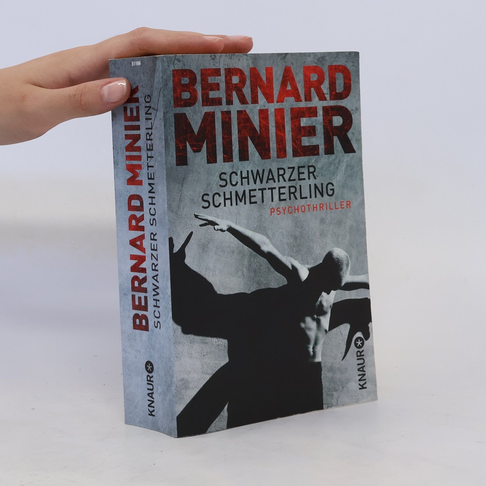 Bernard Minier Schwarzer Schmetterling