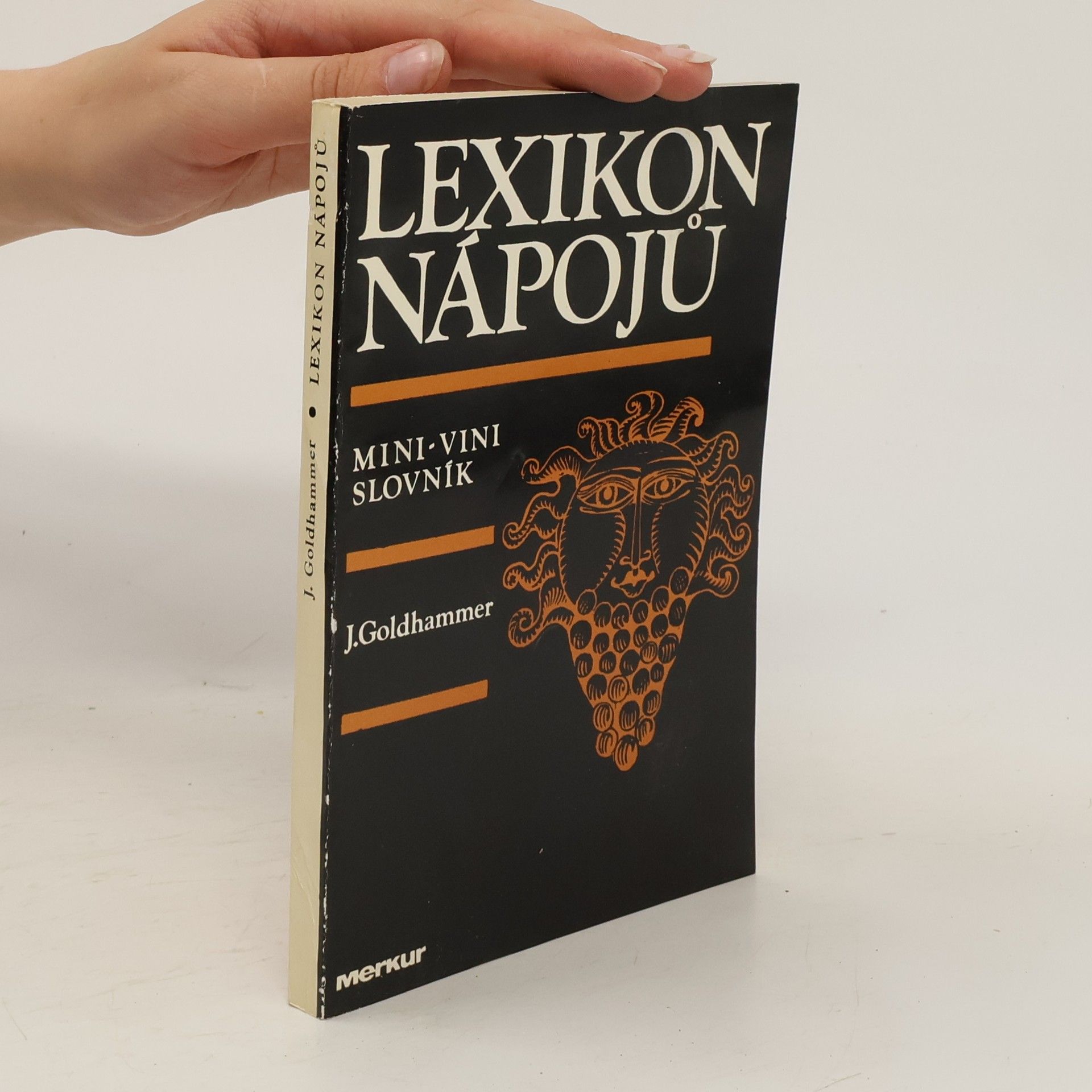 Jan Goldhammer Lexikon nápojů. Mini-vini slovník