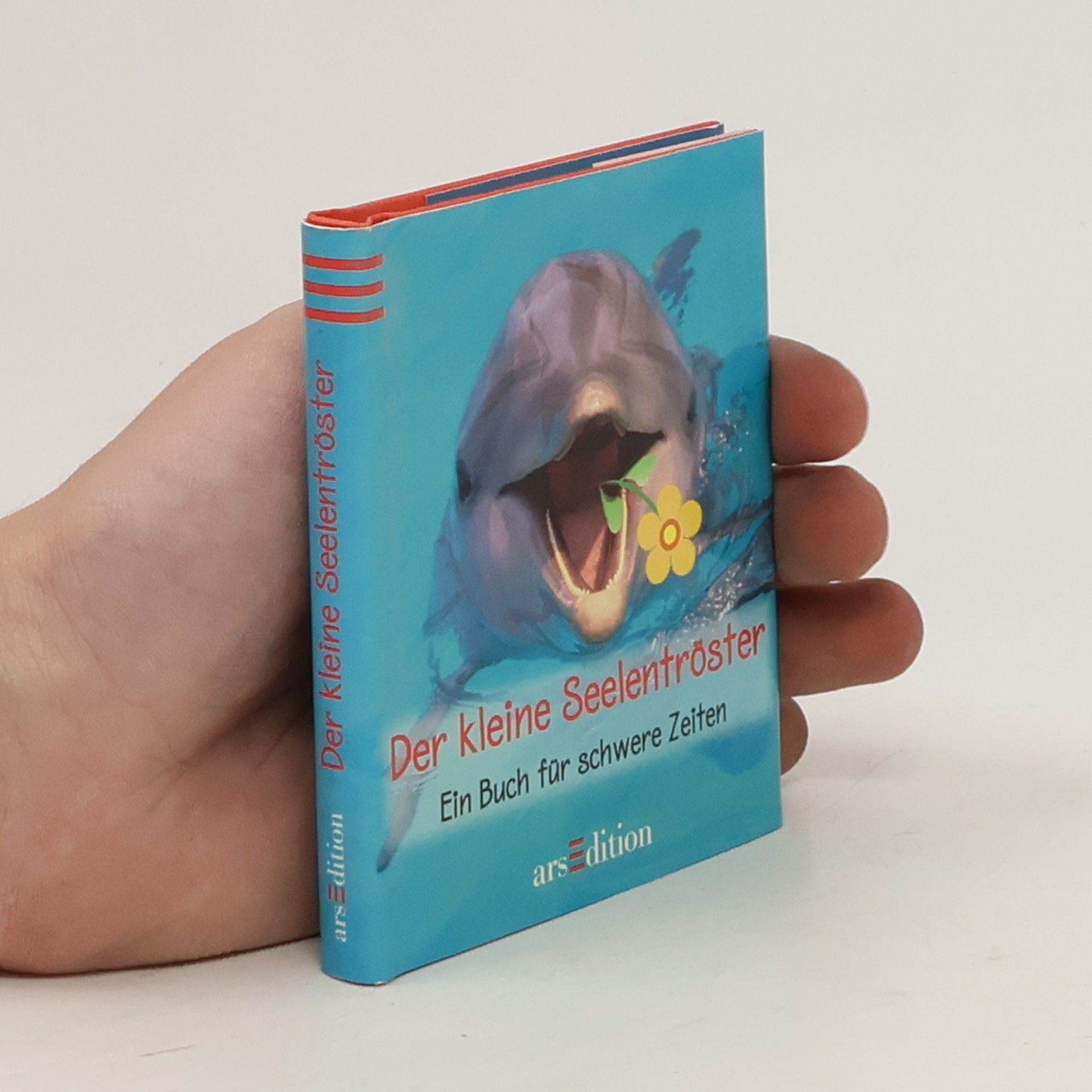Kathrin Schubert Der kleine Seelentröster