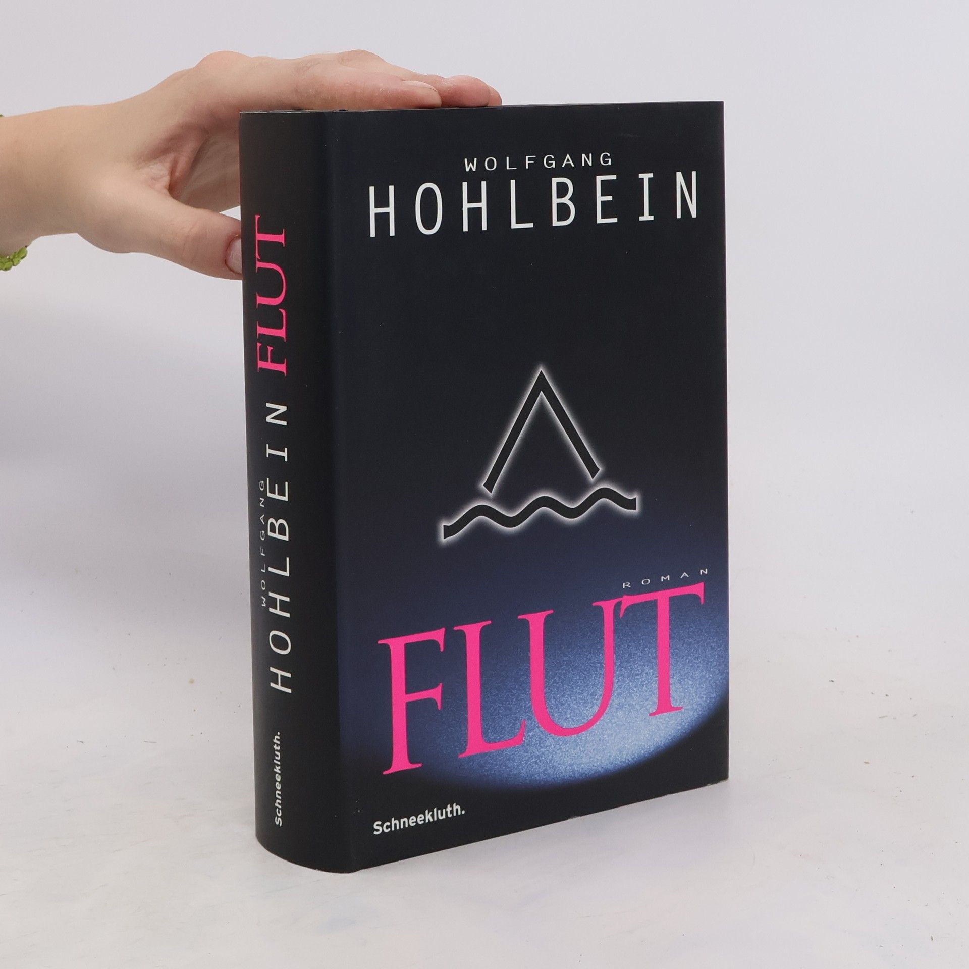 Wolfgang Hohlbein Flut
