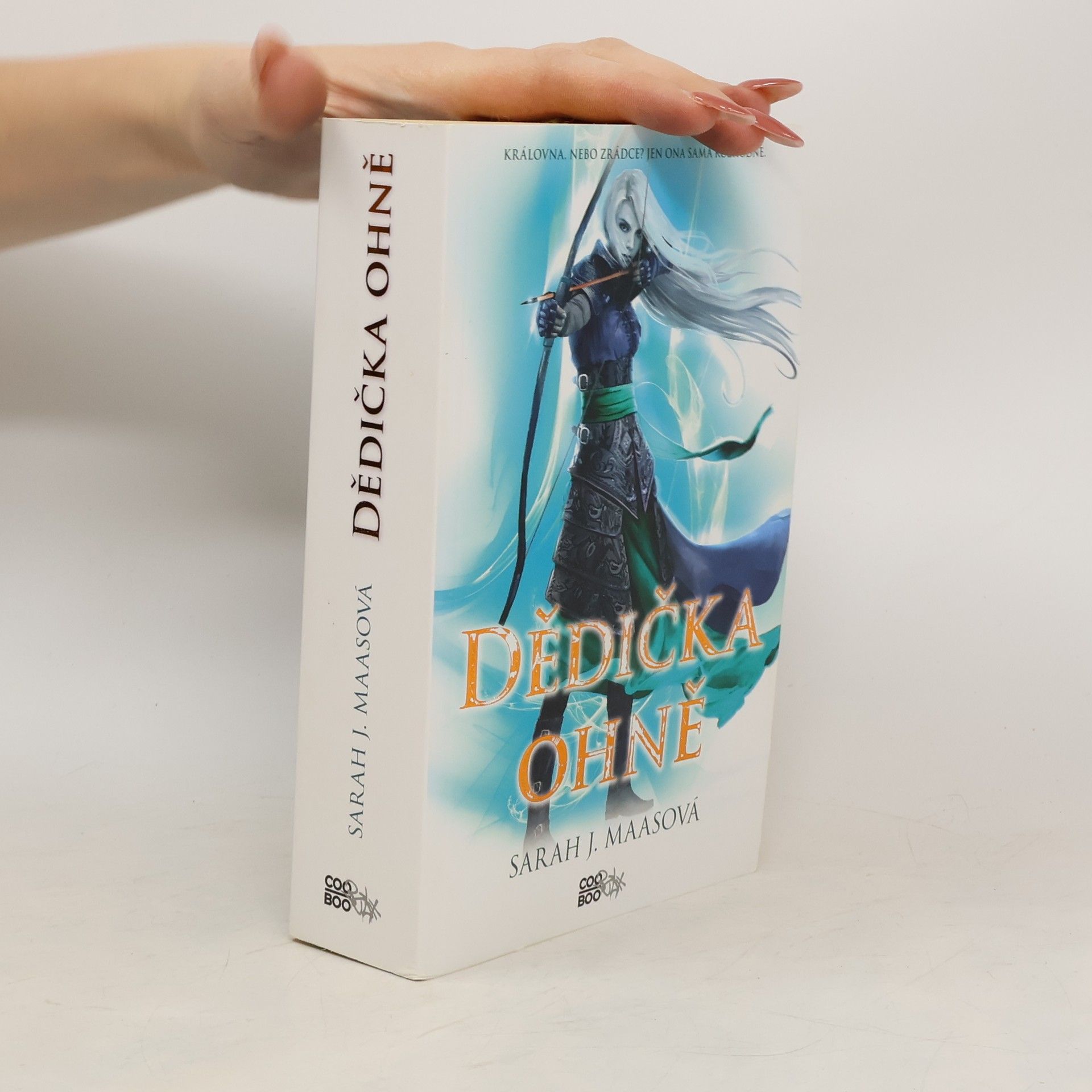 Sarah J. Maas Dědička ohně