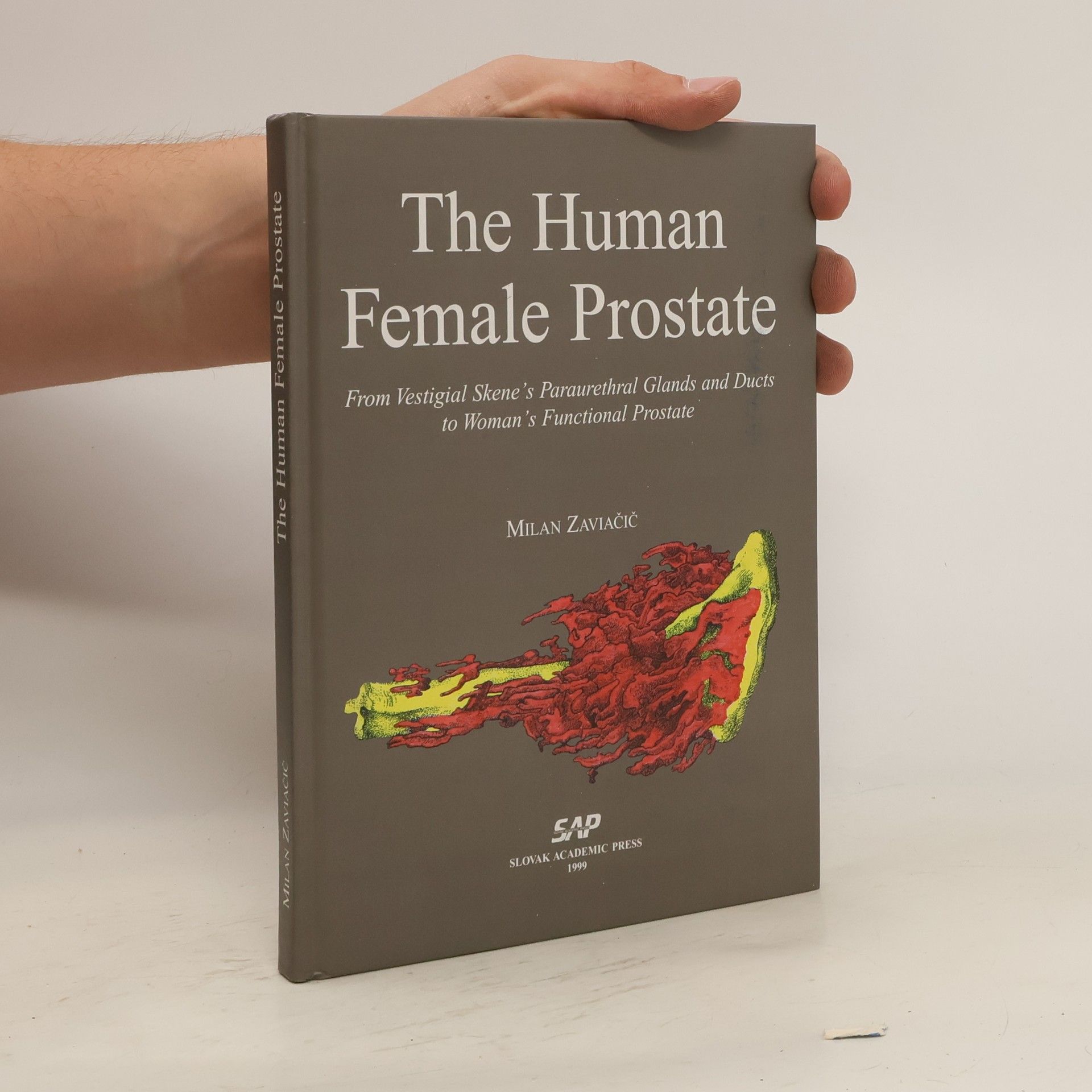 Milan Zaviačič The Human Female Prostate