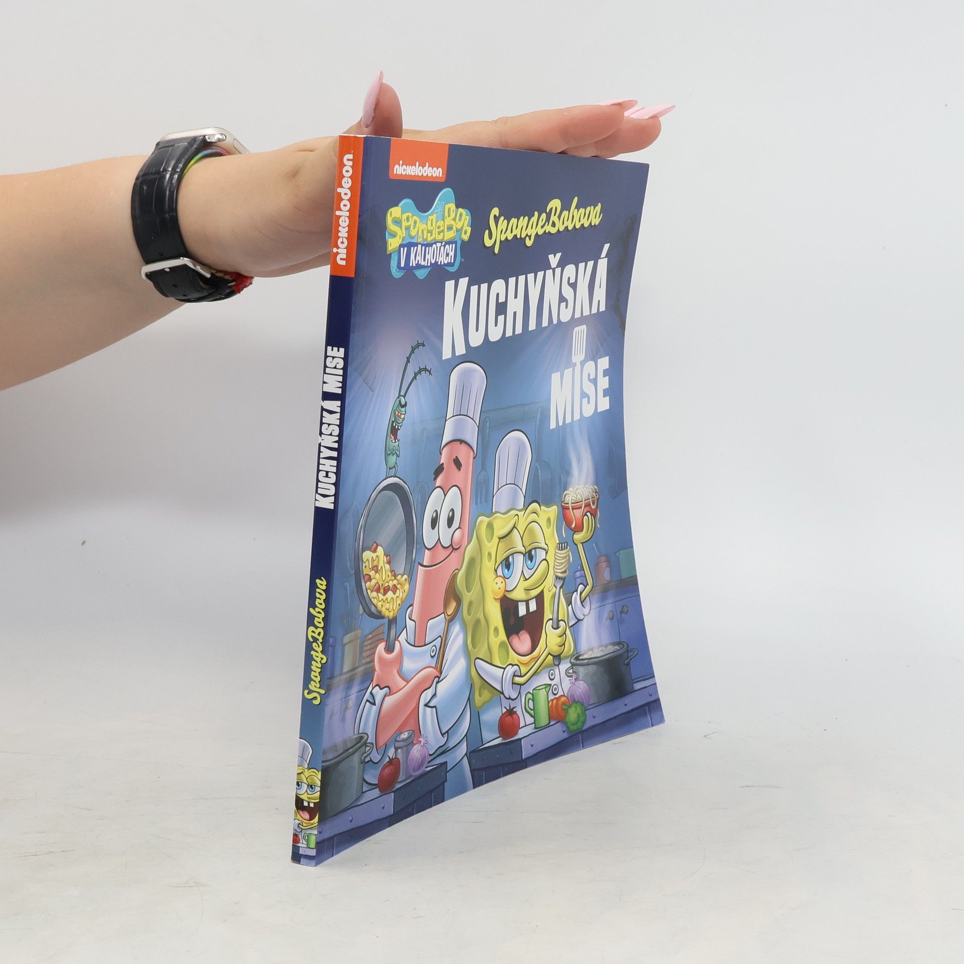 Stephen Hillenburg SpongeBobova kuchyňská mise