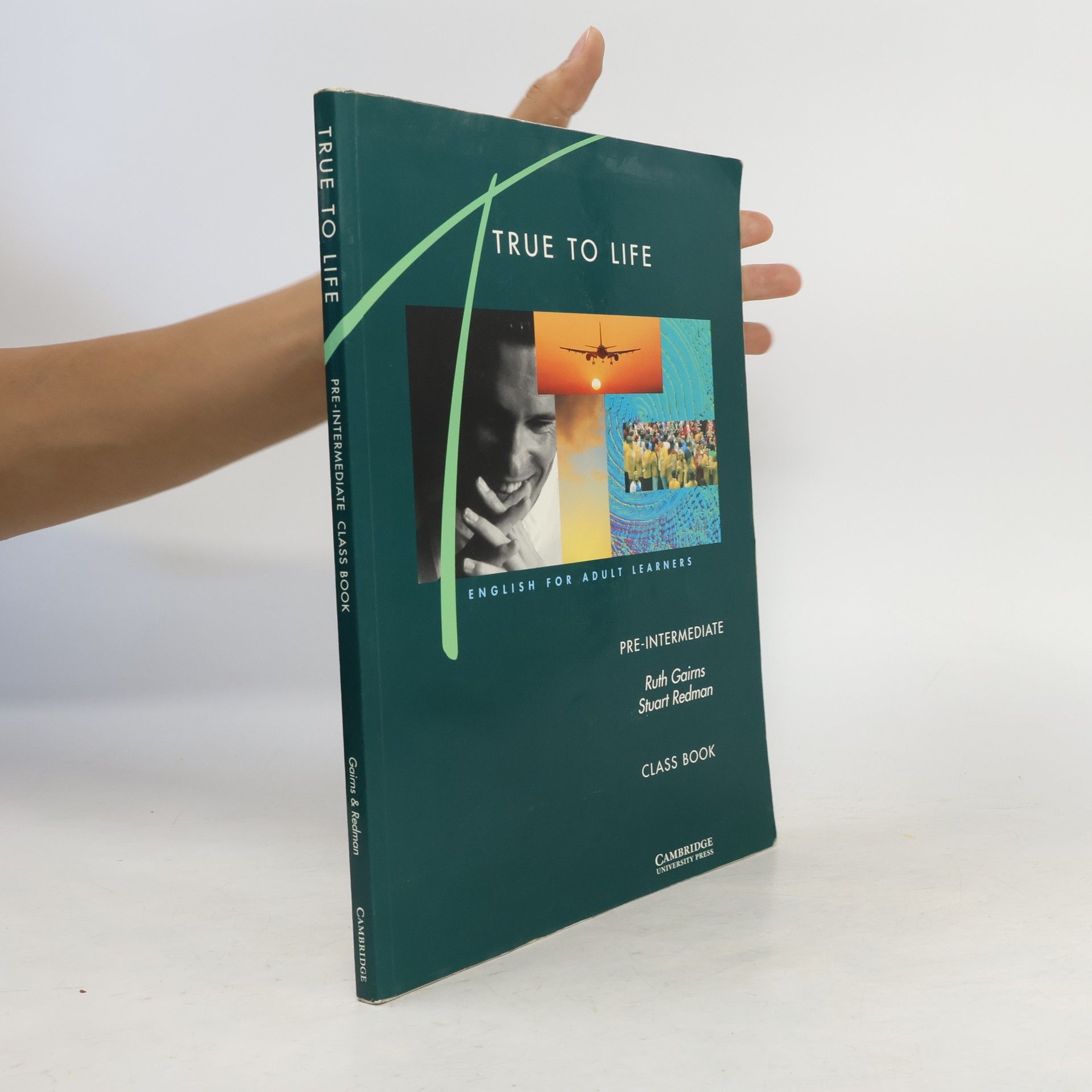 Ruth Gairns True to life: pre-intermediate: class book
