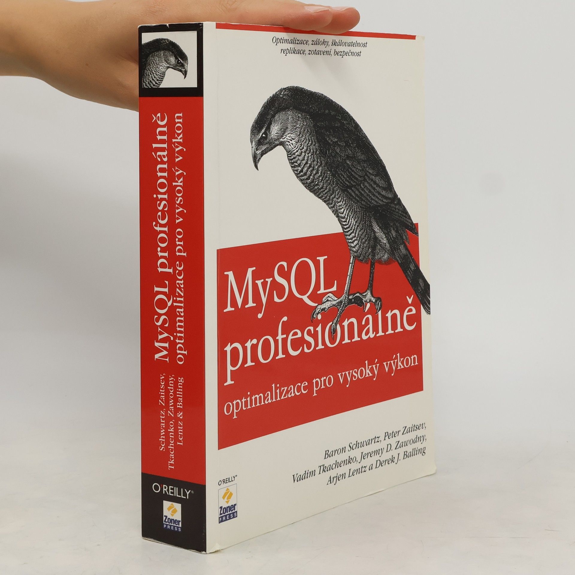 Autorenkollektiv MySQL profesionálně. Optimalizace pro vysoký výkon