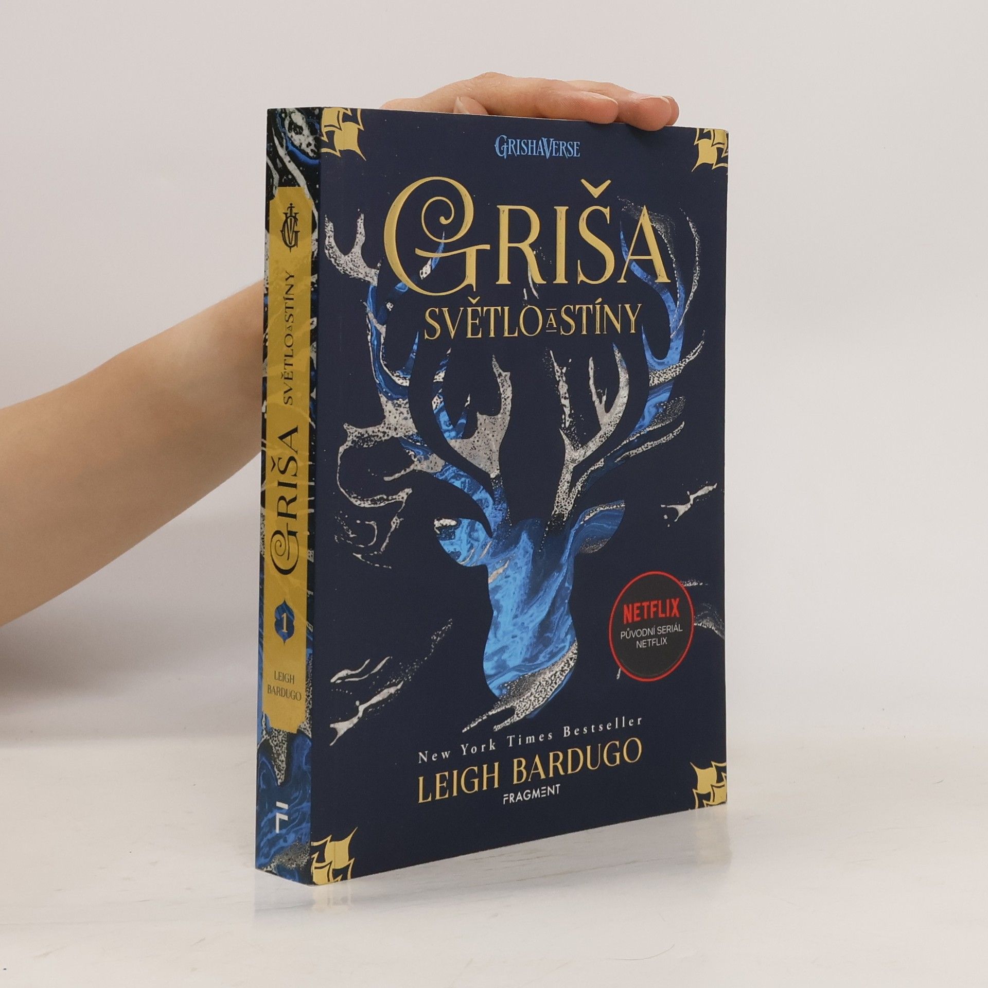 Leigh Bardugo Světlo a stíny