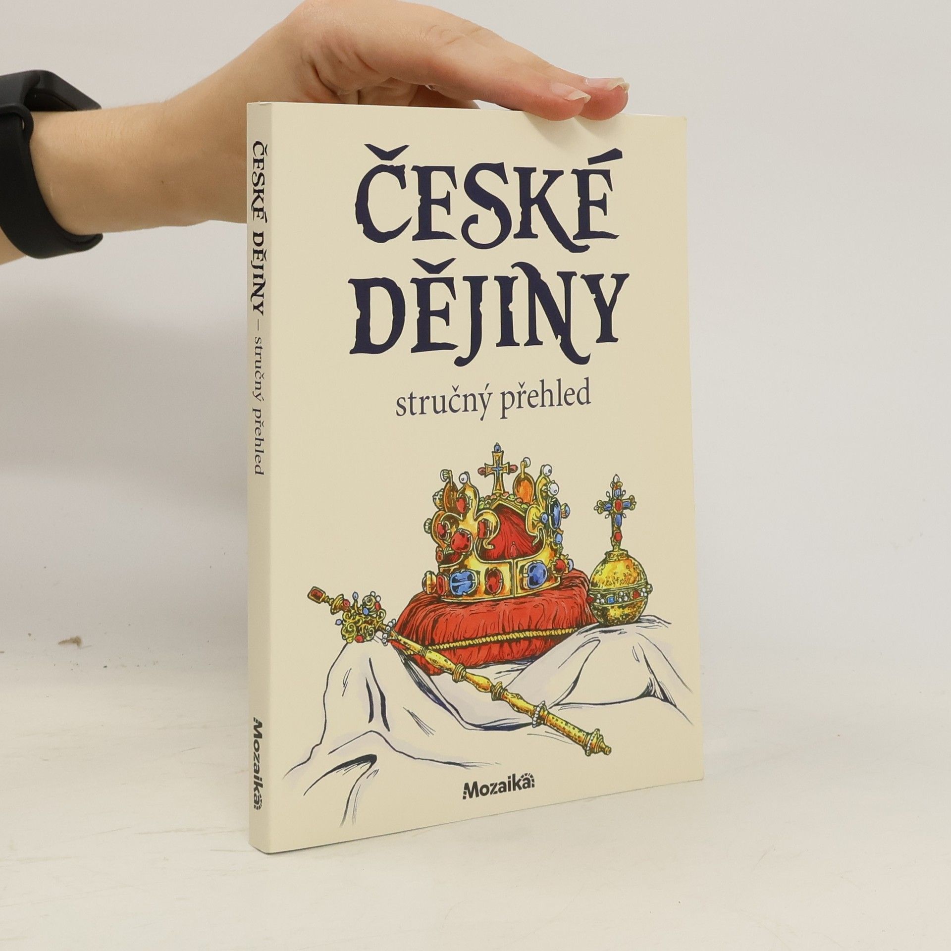 Collective České dějiny. Stručný přehled