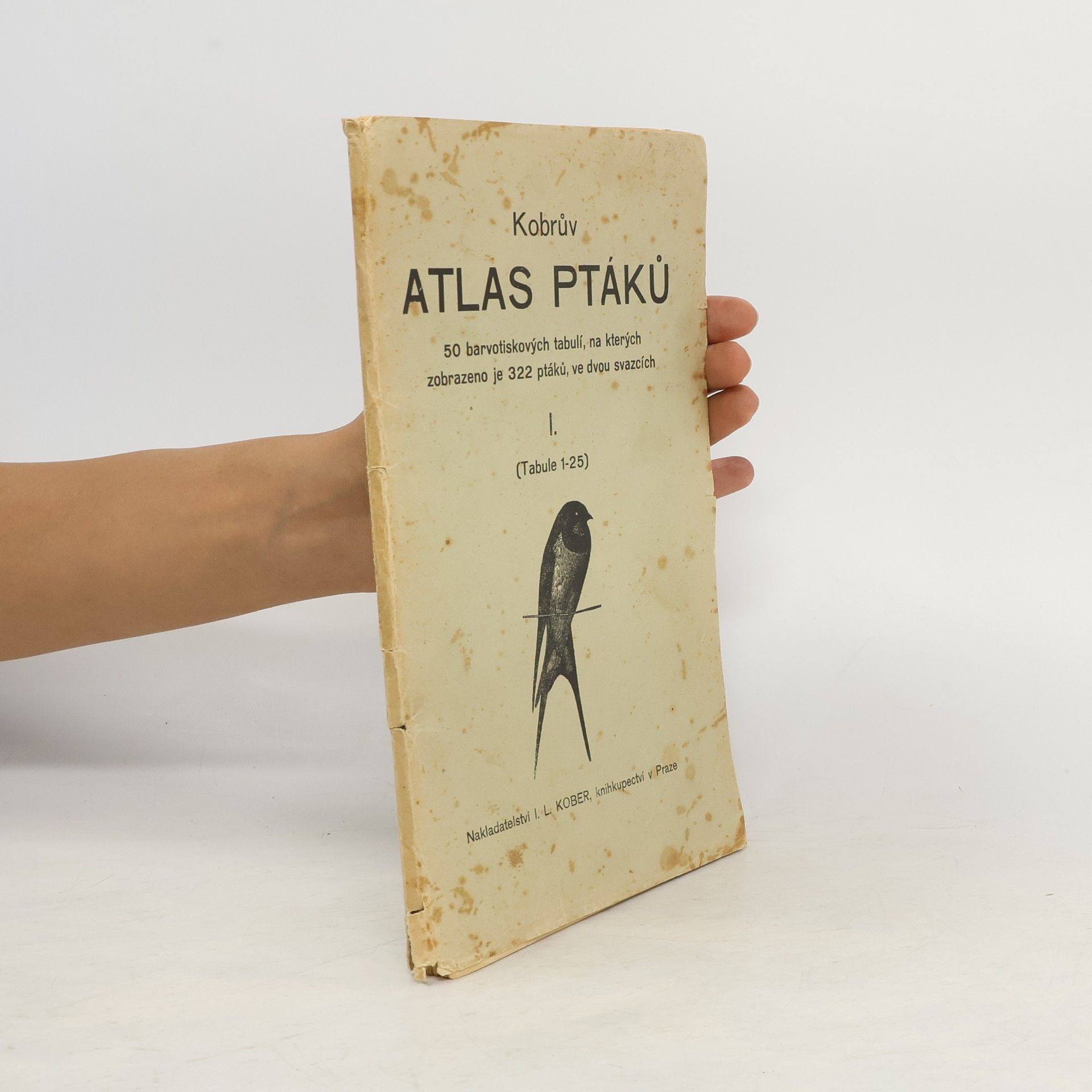 Autores varios Kobrův atlas ptáků