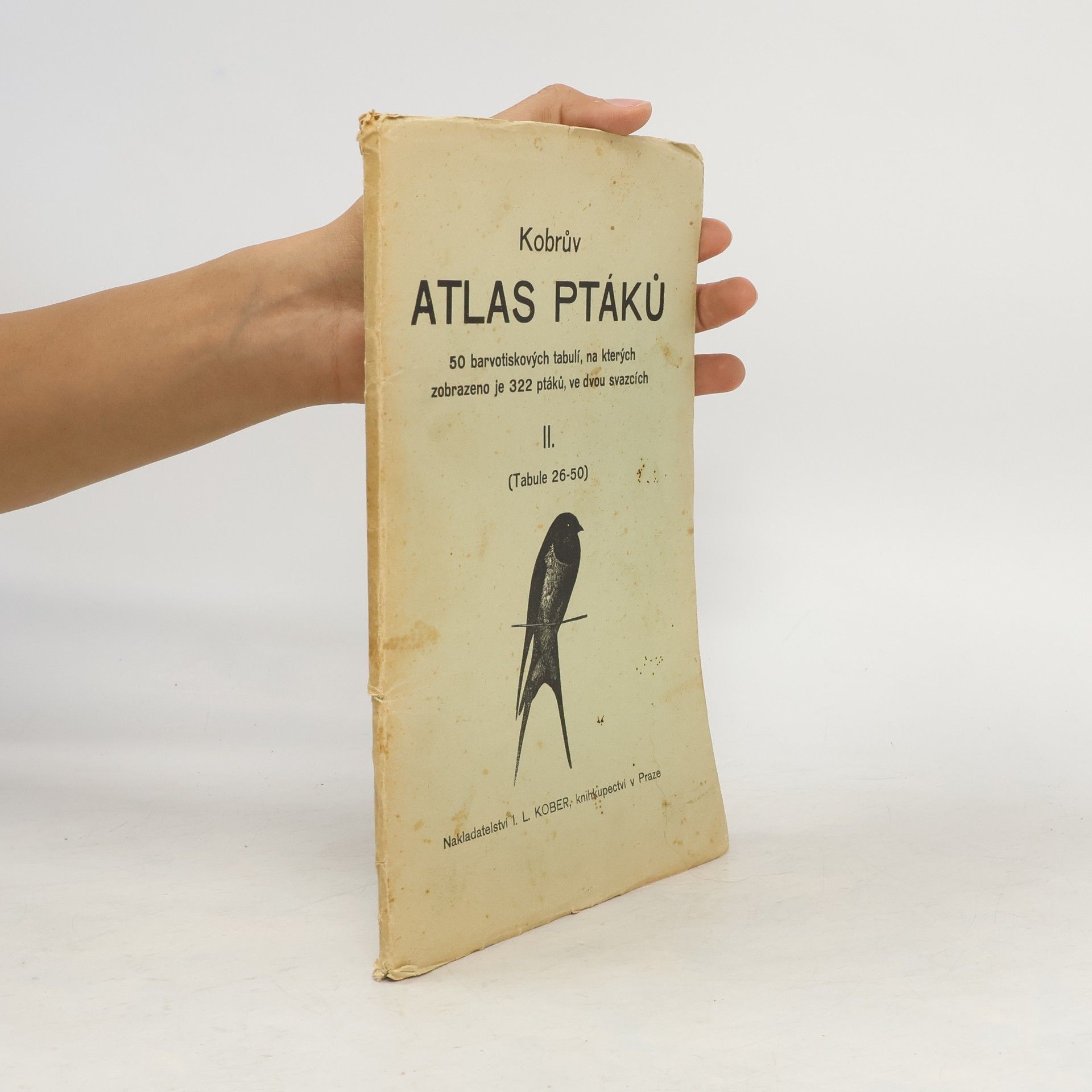 Collective Kobrův Atlas ptáků II.