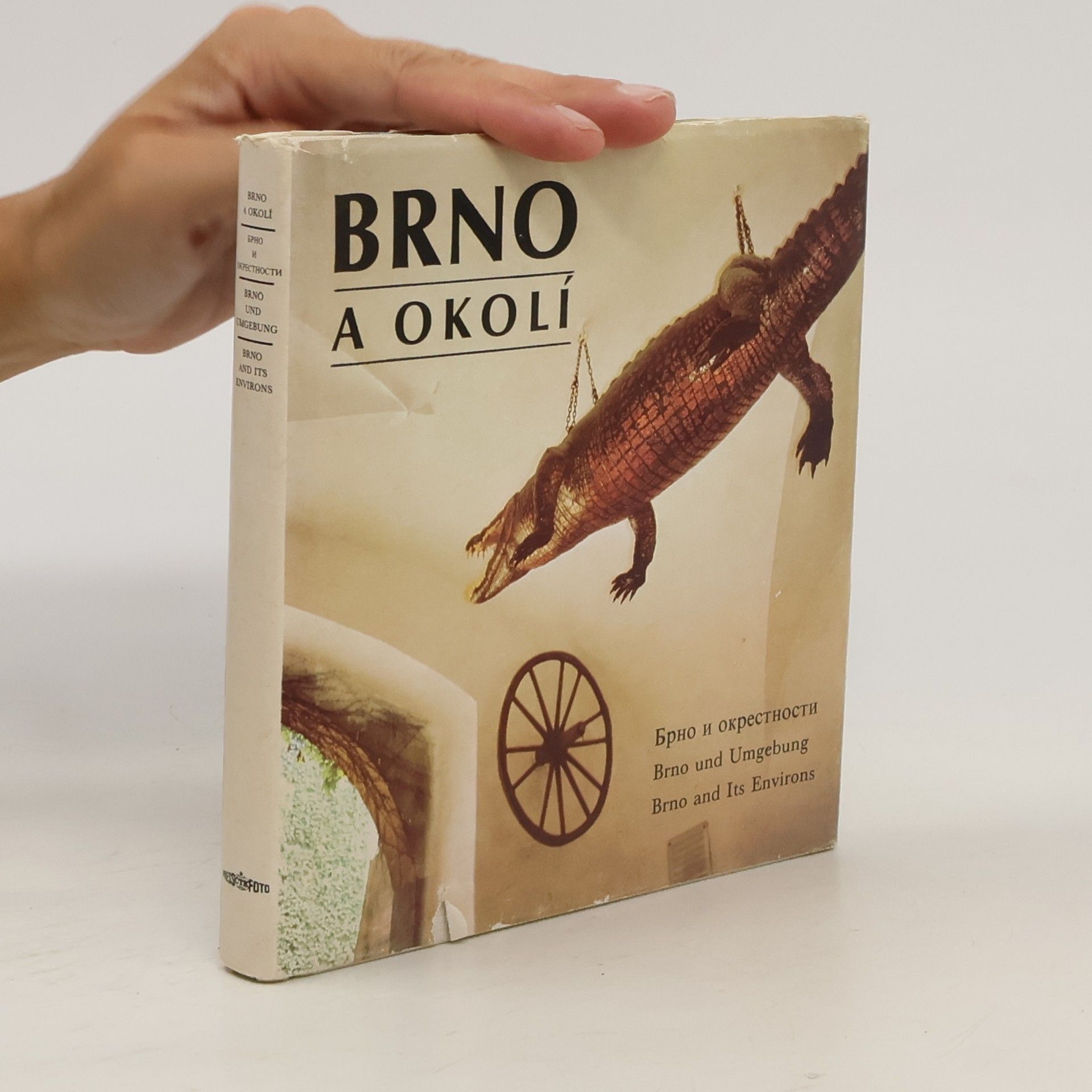 Dalibor Kusák Brno a okolí