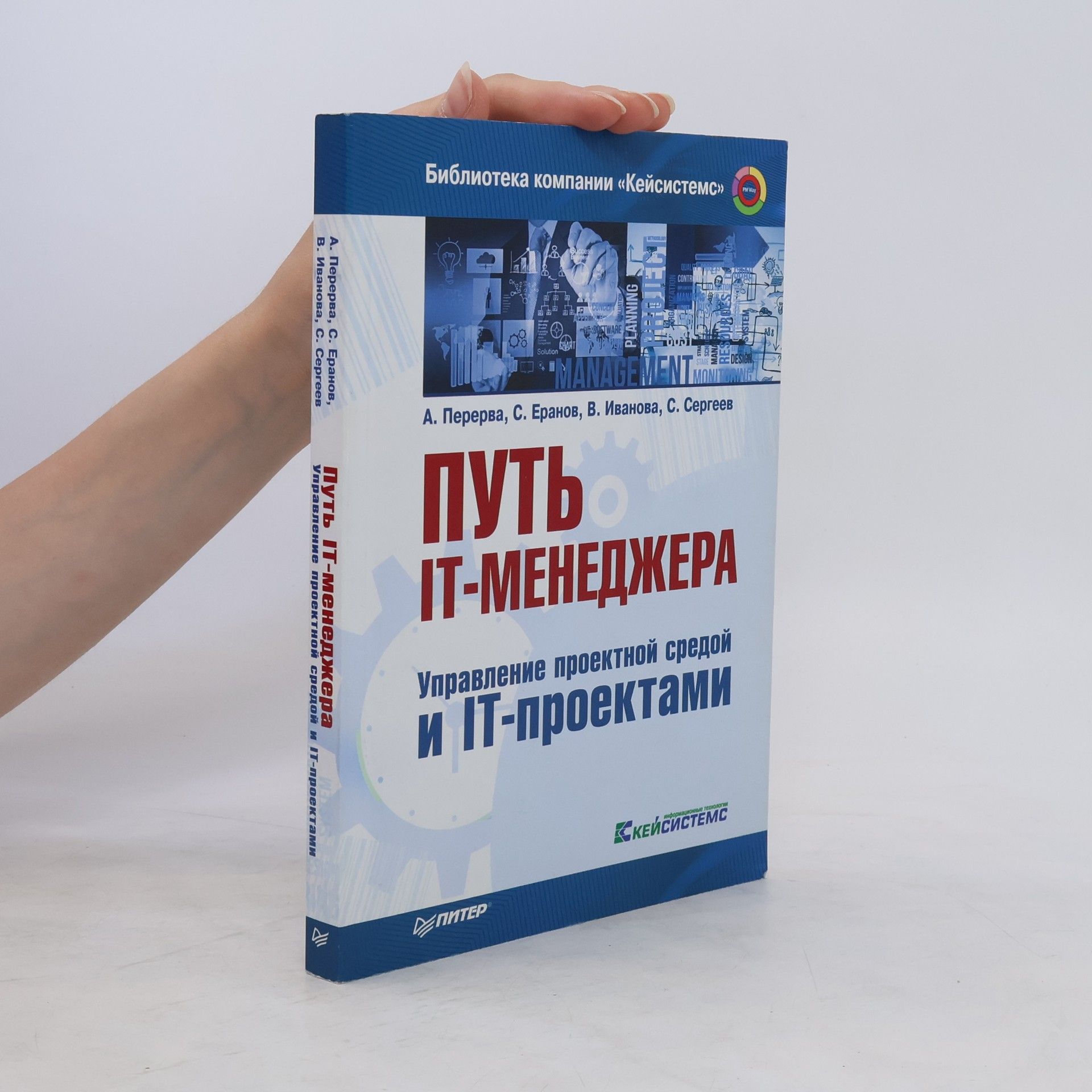 Autorenkollektiv Путь IT-менеджера. Управление проектной средой и IT-проектами