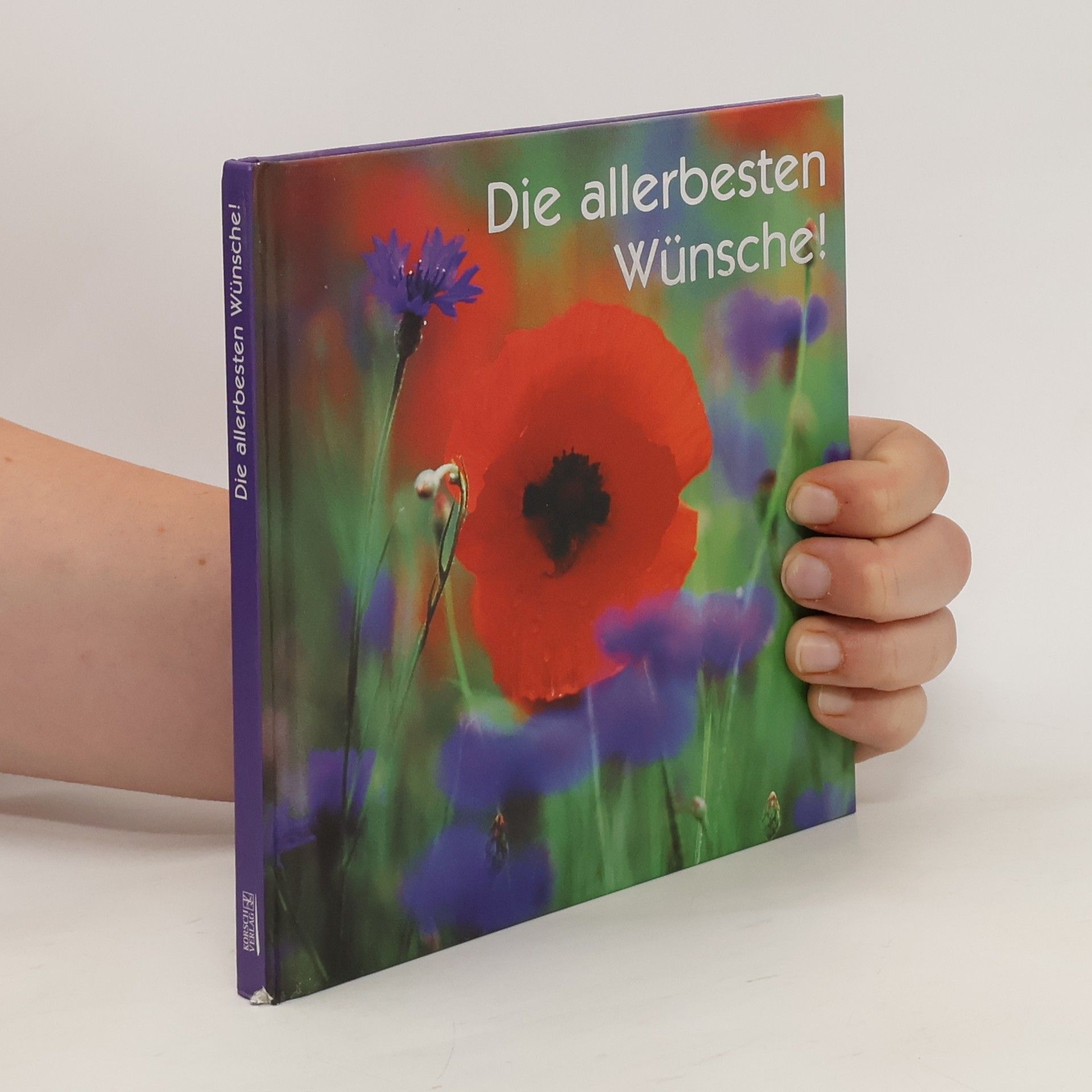 Collectif d'auteurs Die allerbesten Wünsche!