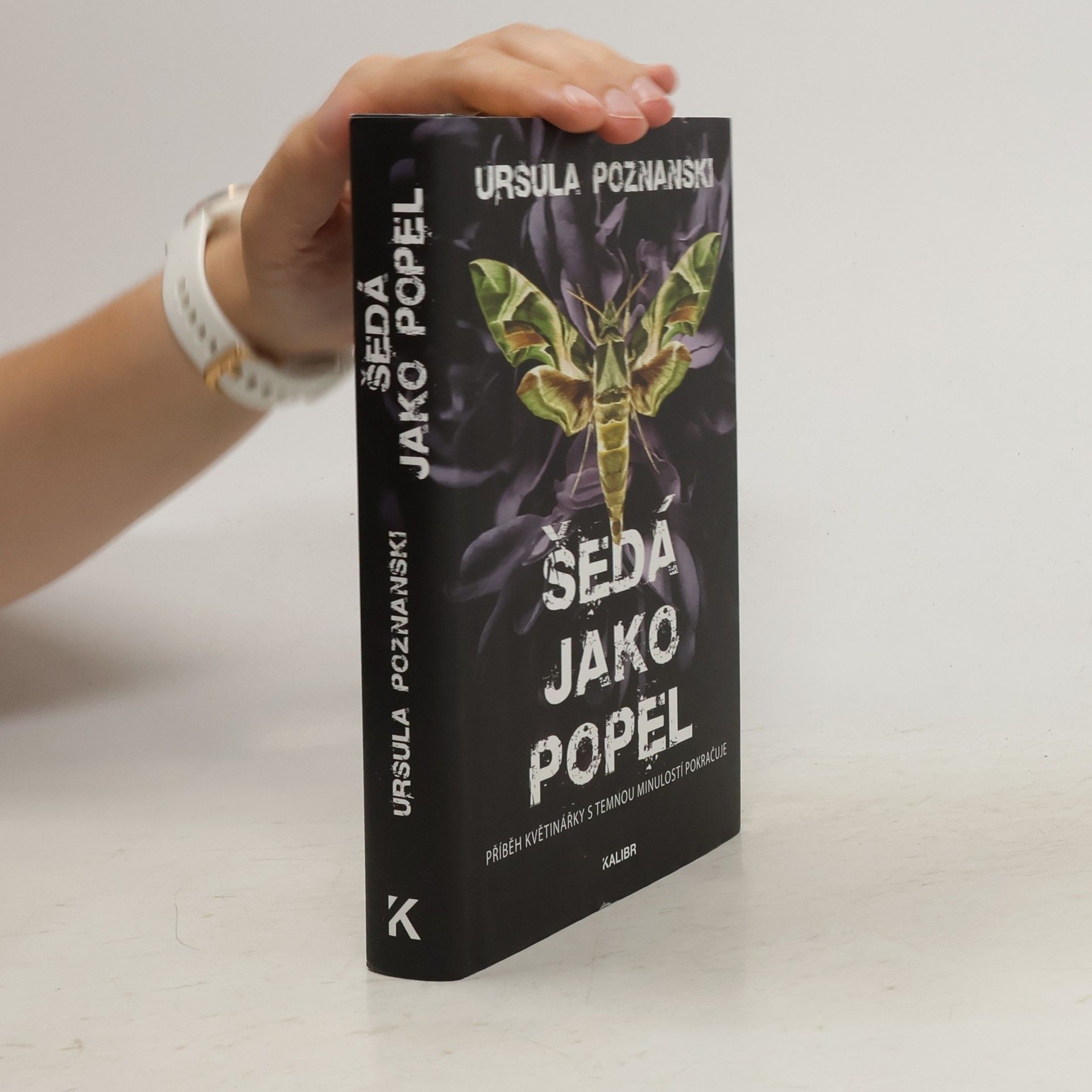 Ursula Poznanski Šedá jako popel