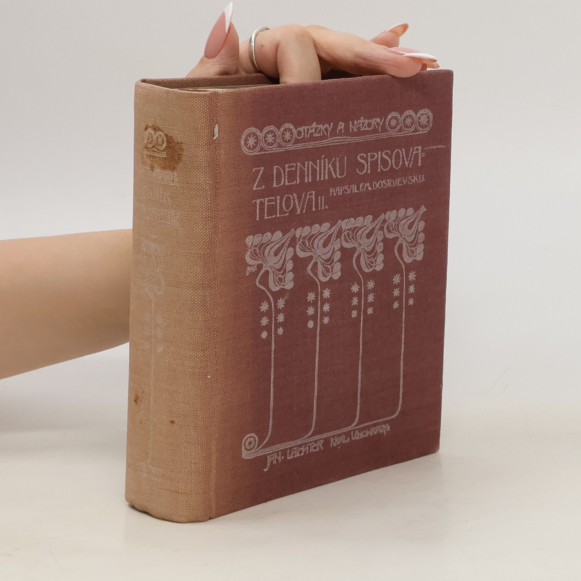Fjodor Michajlovič Dostojevskij Denník spisovatelův. II, Úvahy o společnosti a literatuře