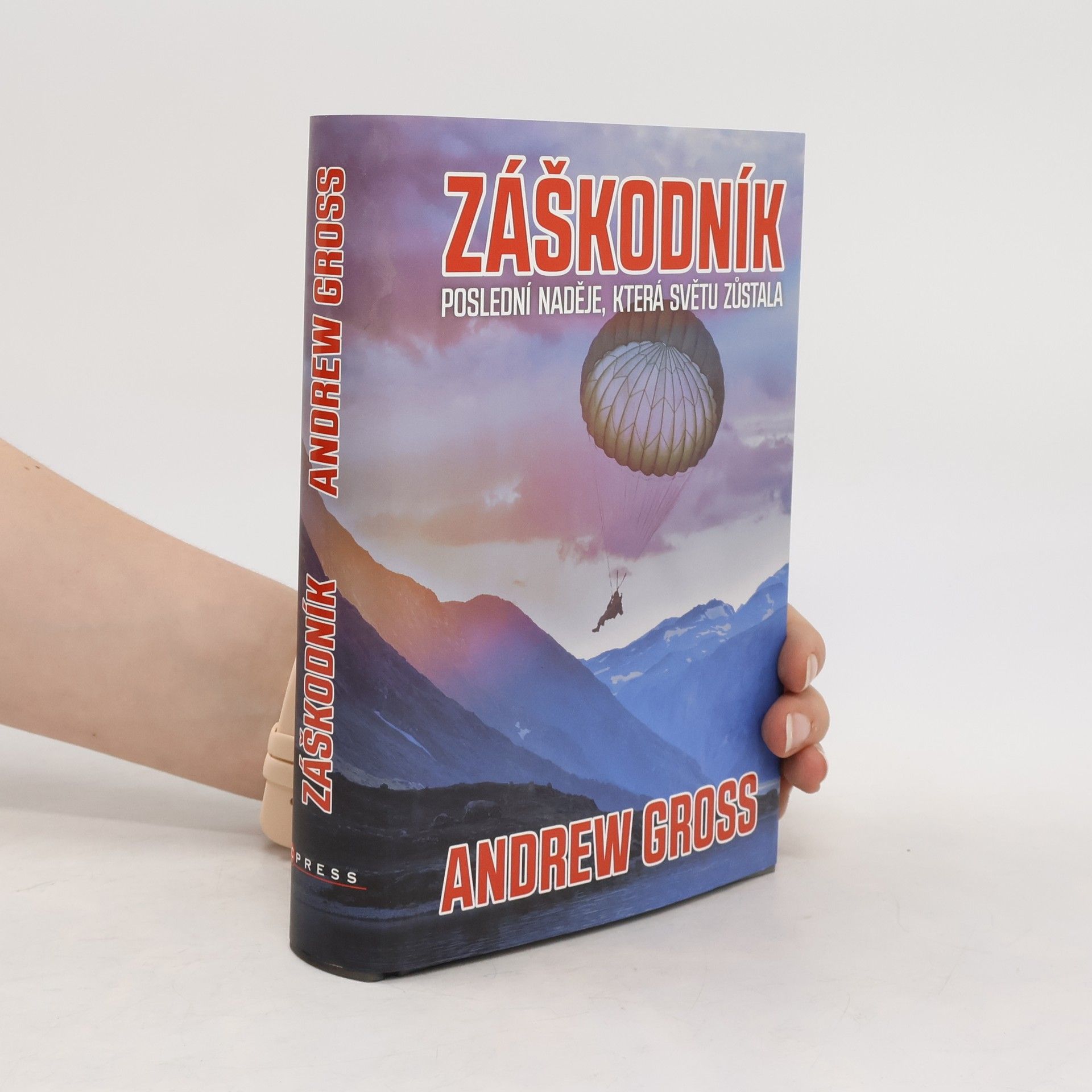 Andrew Gross Záškodník