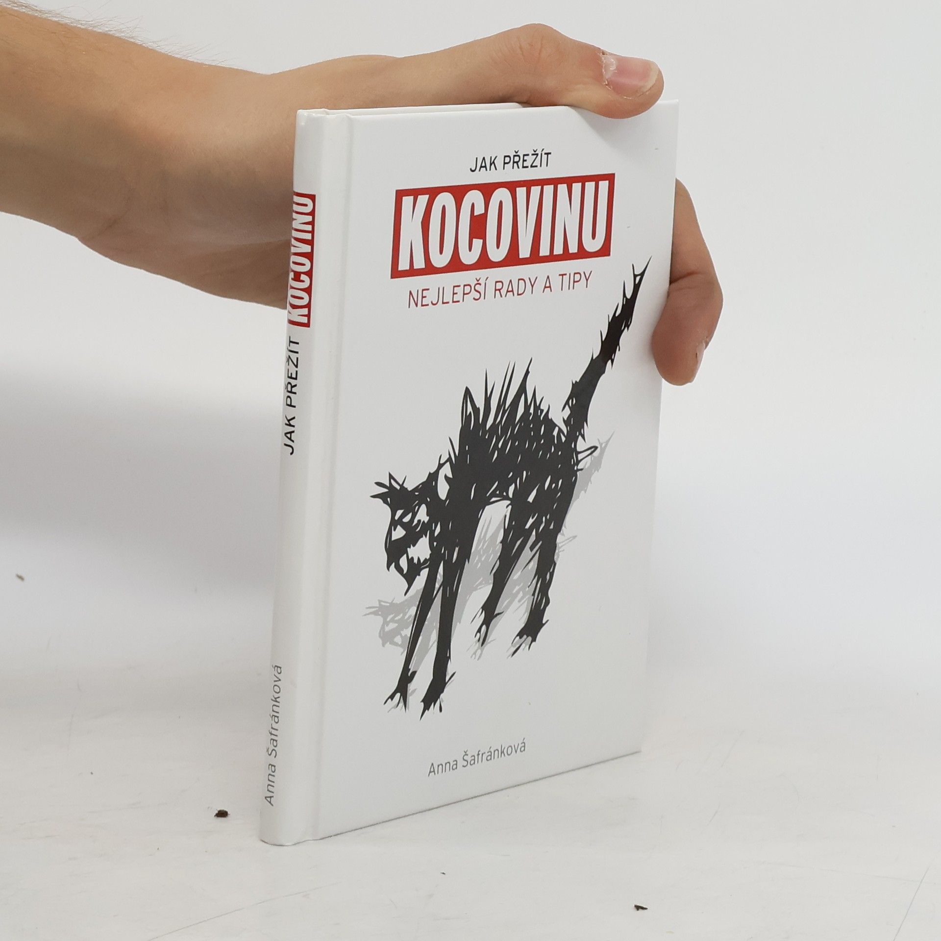 Anna Šafránková Jak přežít kocovinu: Nejlepší rady a tipy