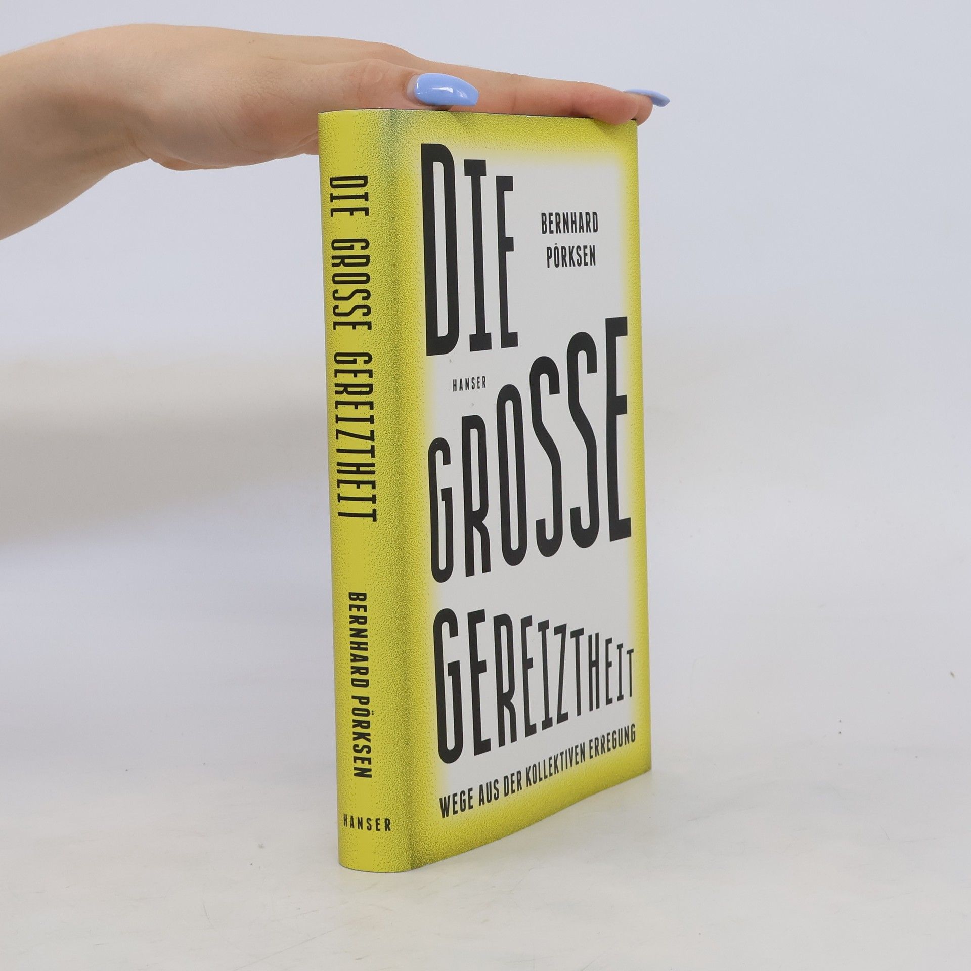Bernhard Pörksen Die große Gereiztheit