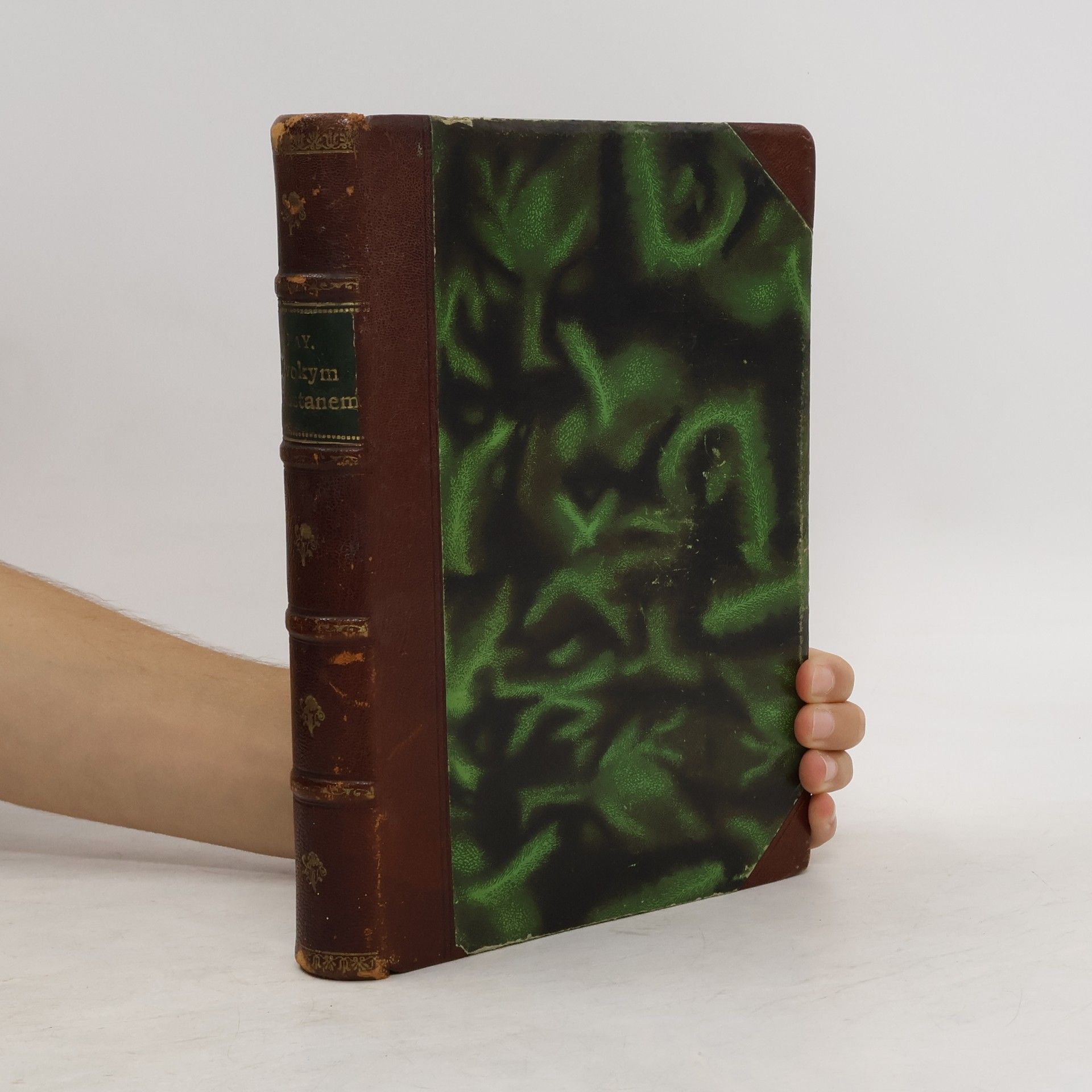 Karl May Divokým Kurdistánem. Po stopě zlého činu