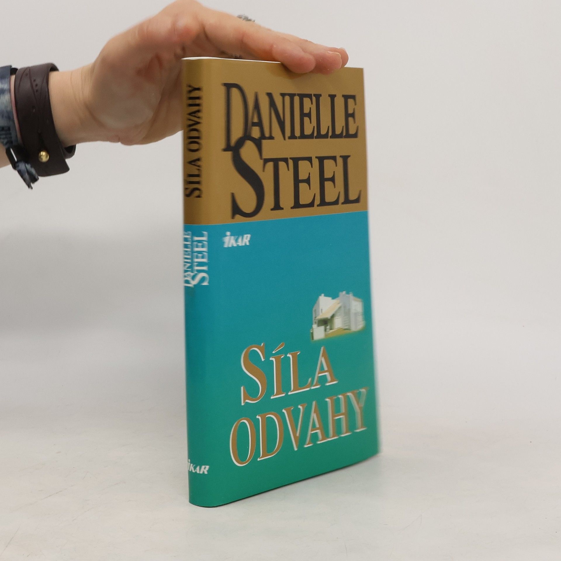 Danielle Steelová Síla odvahy
