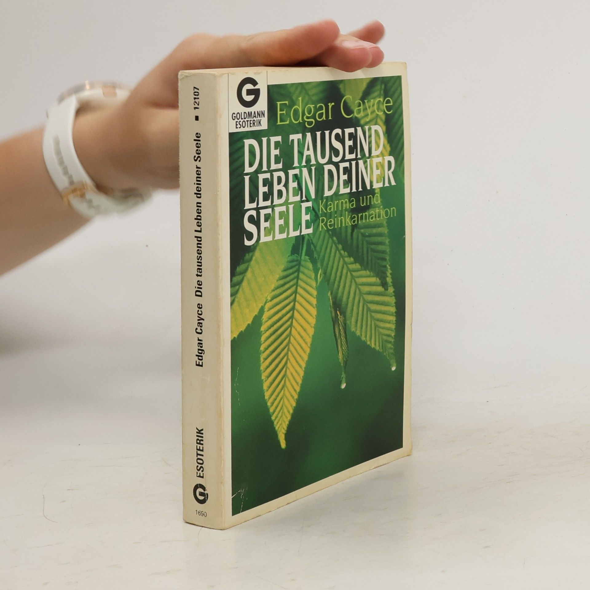 Edgar Cayce Die tausend Leben deiner Seele. Karma und Reinkarnation.