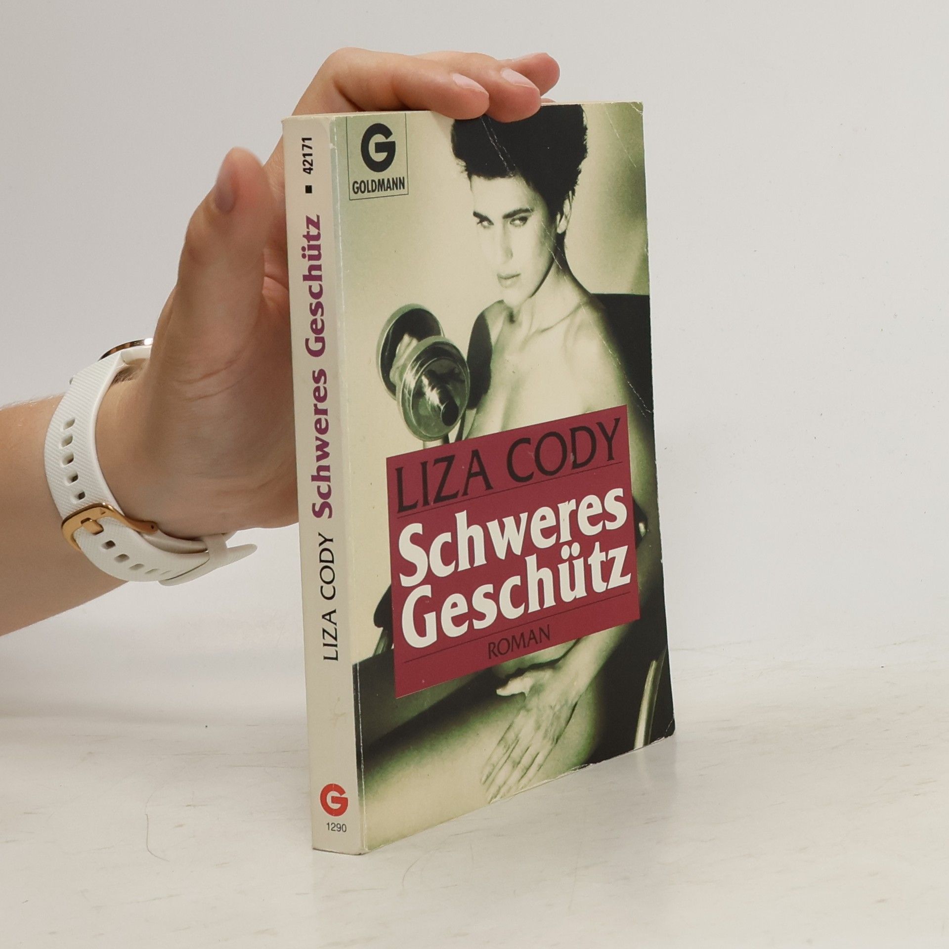 Liza Cody Schweres Geschütz