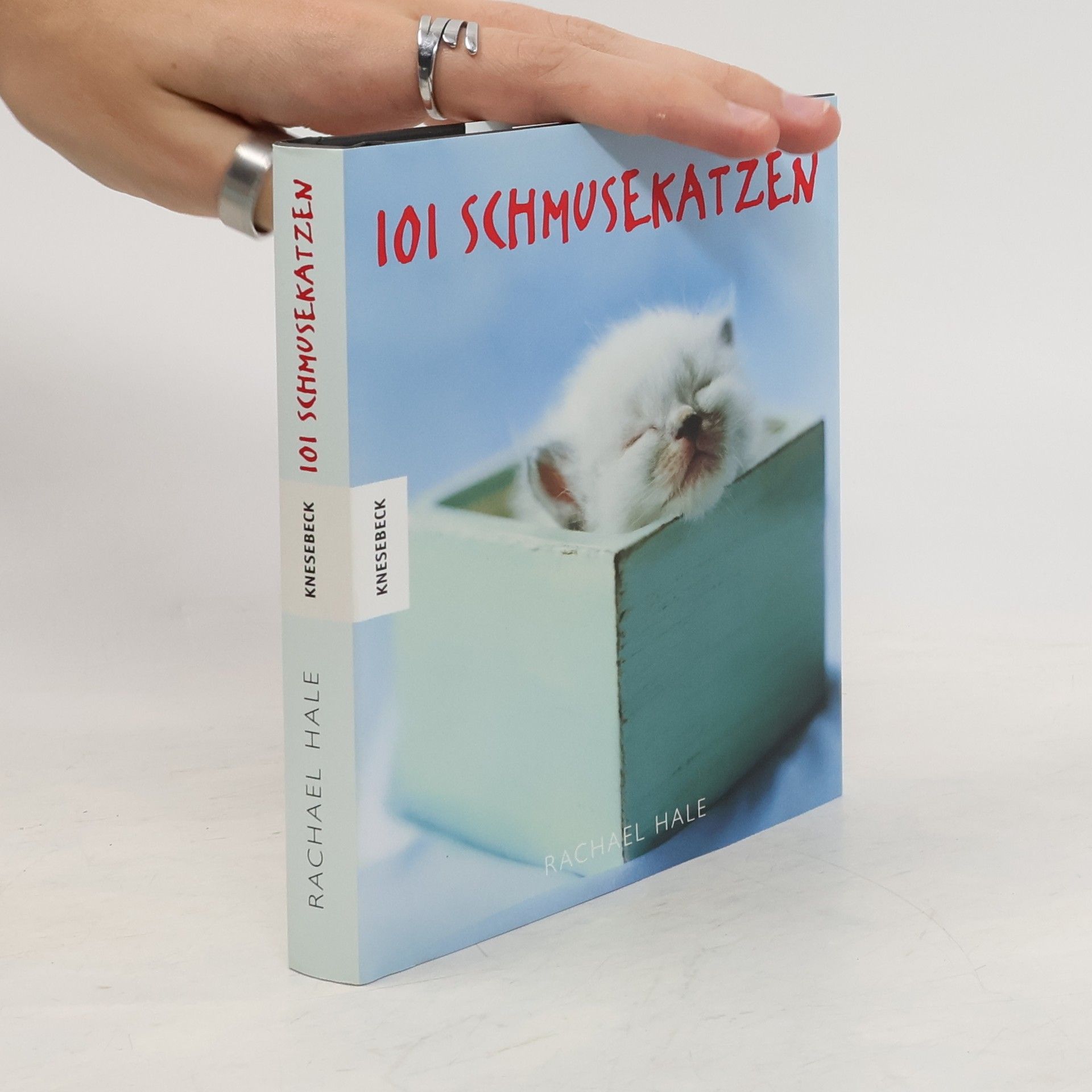 Rachael McKenna 101 Schmusekatzen