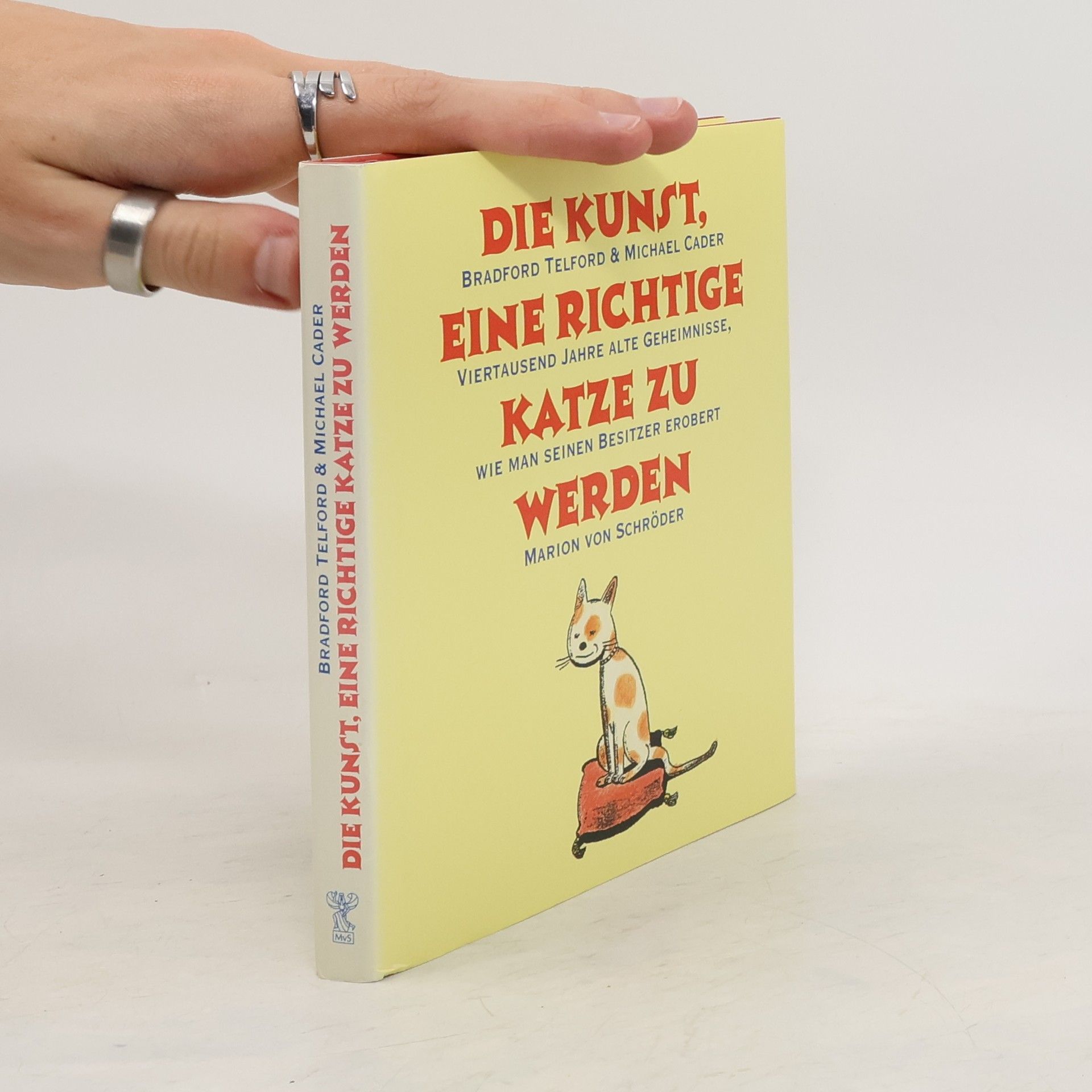 Die Kunst, eine richtige Katze zu werden