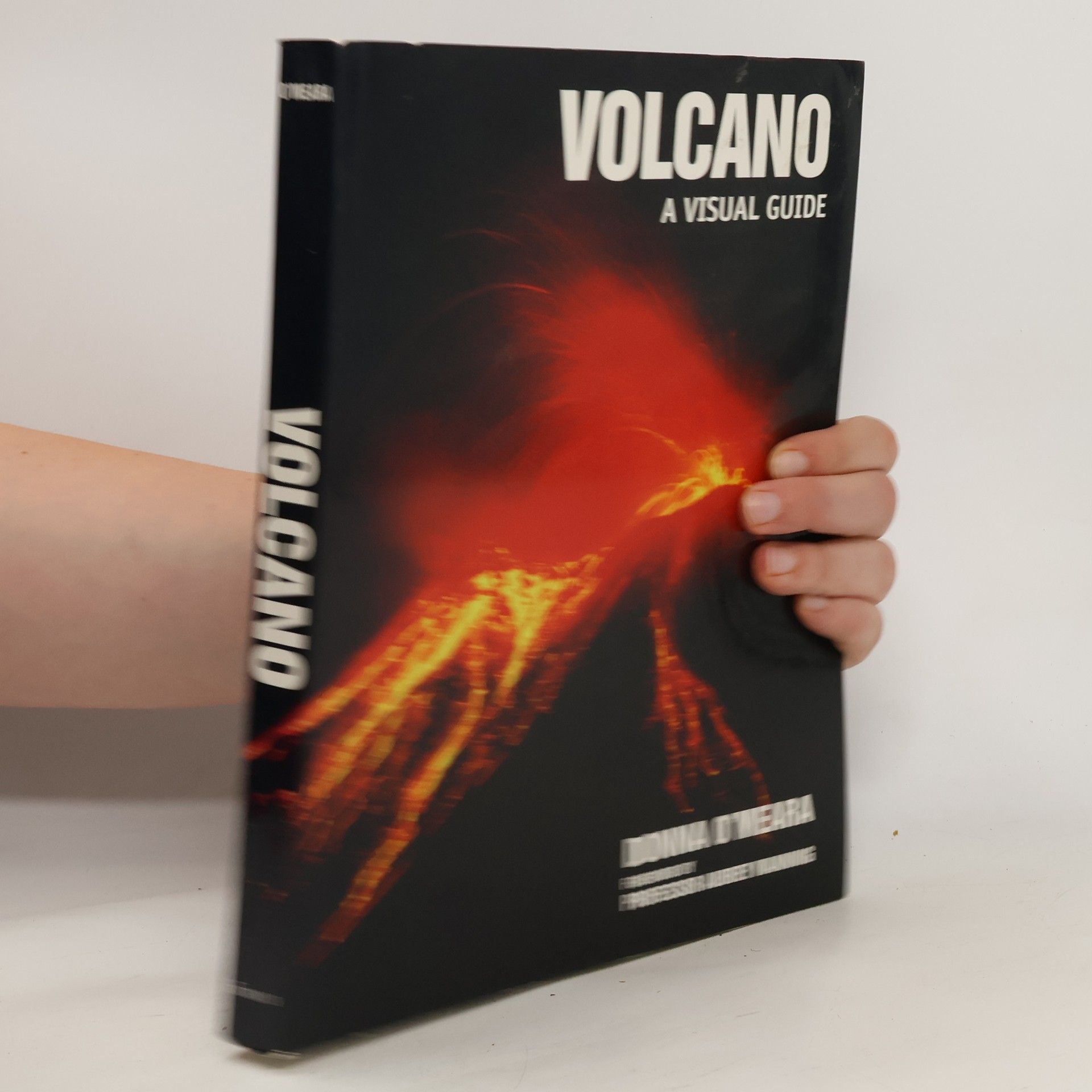 Donna Donovan-O'Meara Volcano