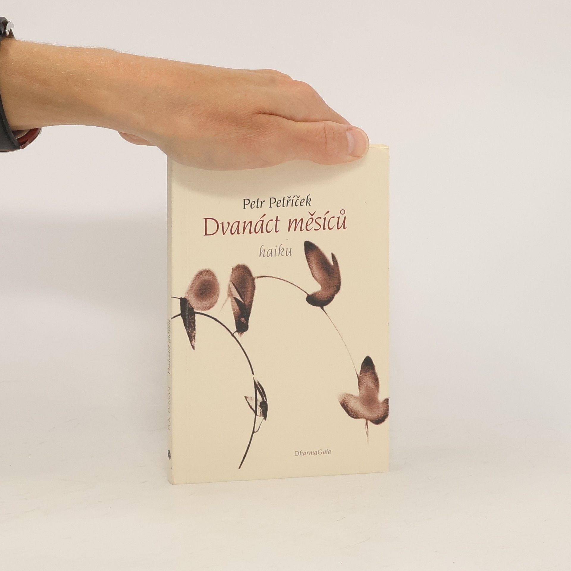 Petr Petříček Dvanáct měsíců: 108 haiku