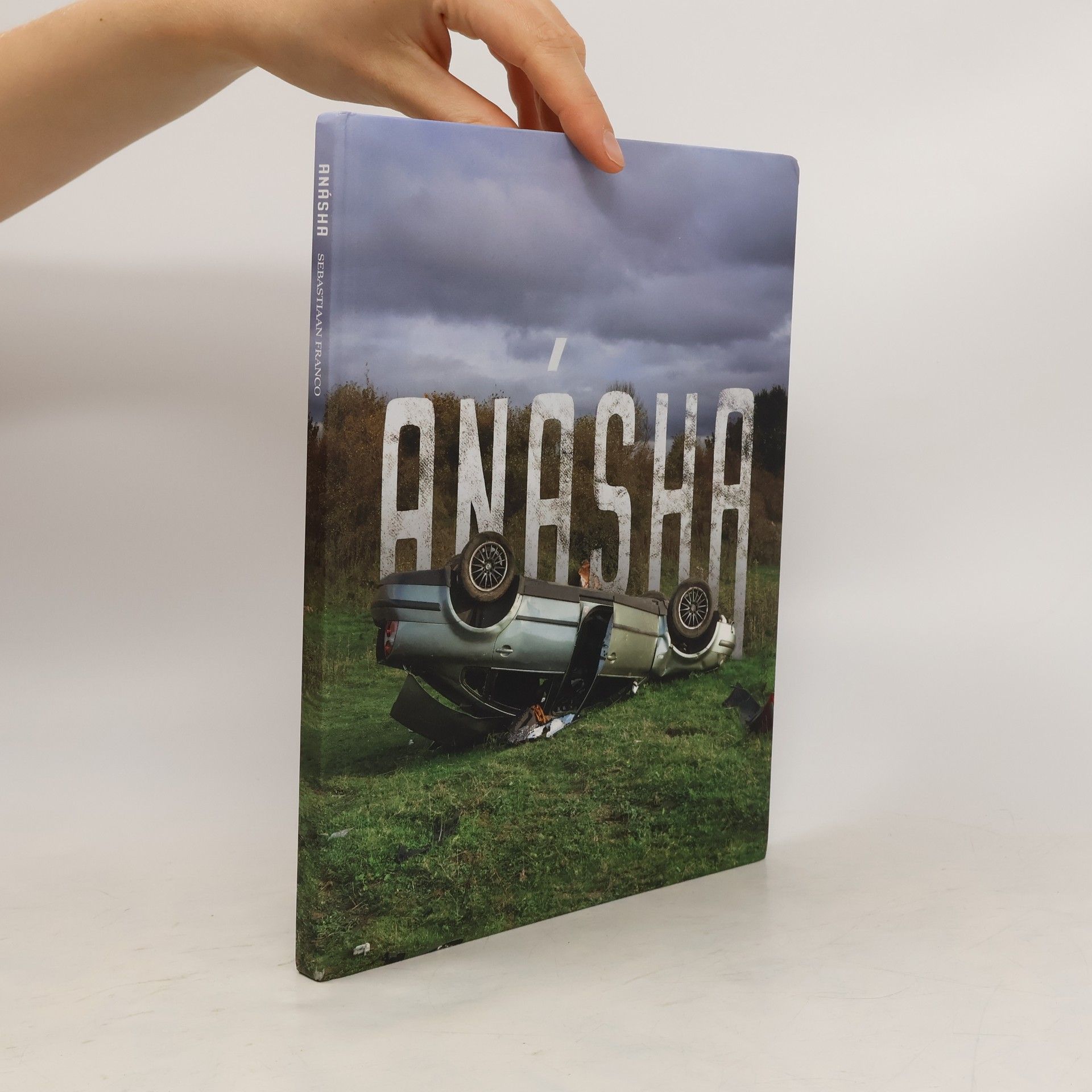 Elena Theis #ANASHA - Die Reise beginnt