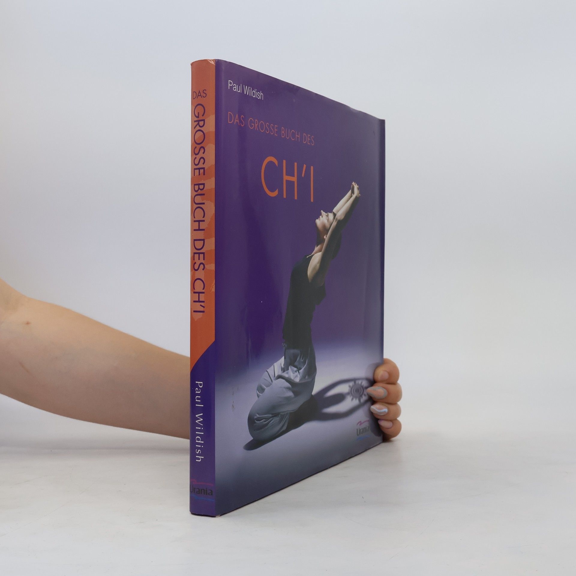 Paul Wildish Das große Buch des Ch'i