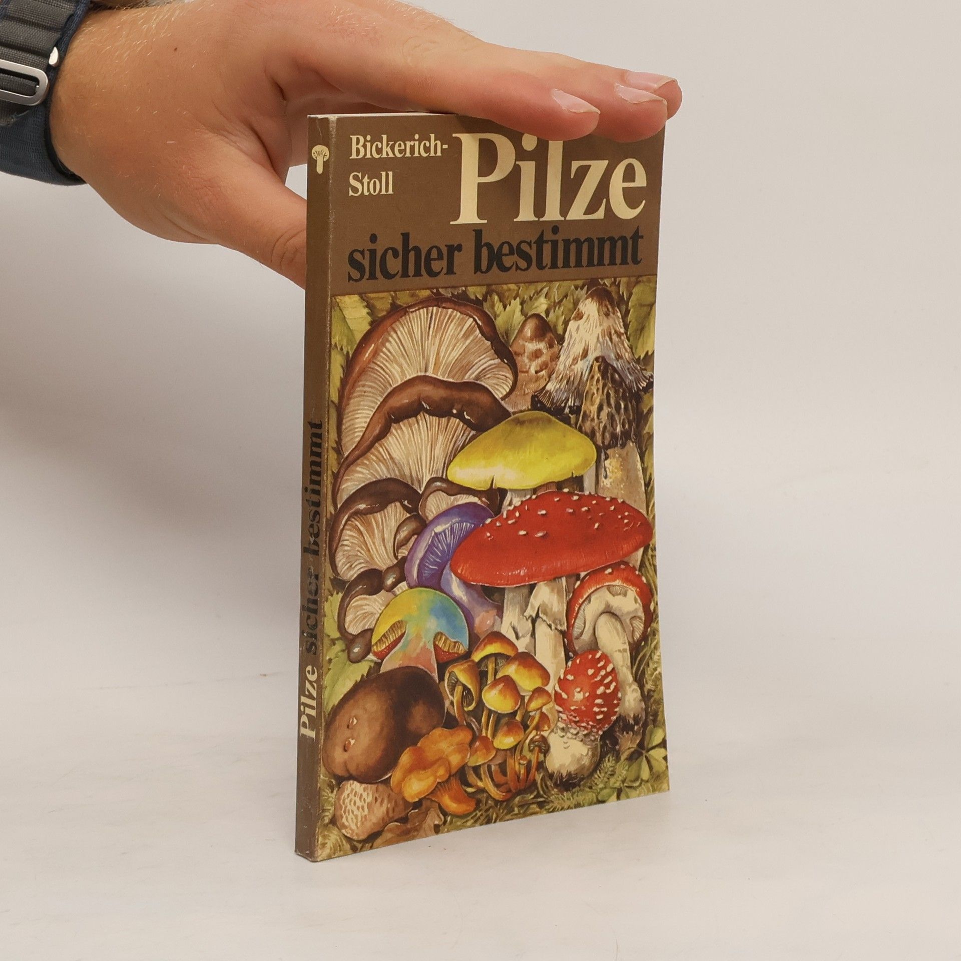 Katharina Bickerich Stoll Pilze sicher bestimmt