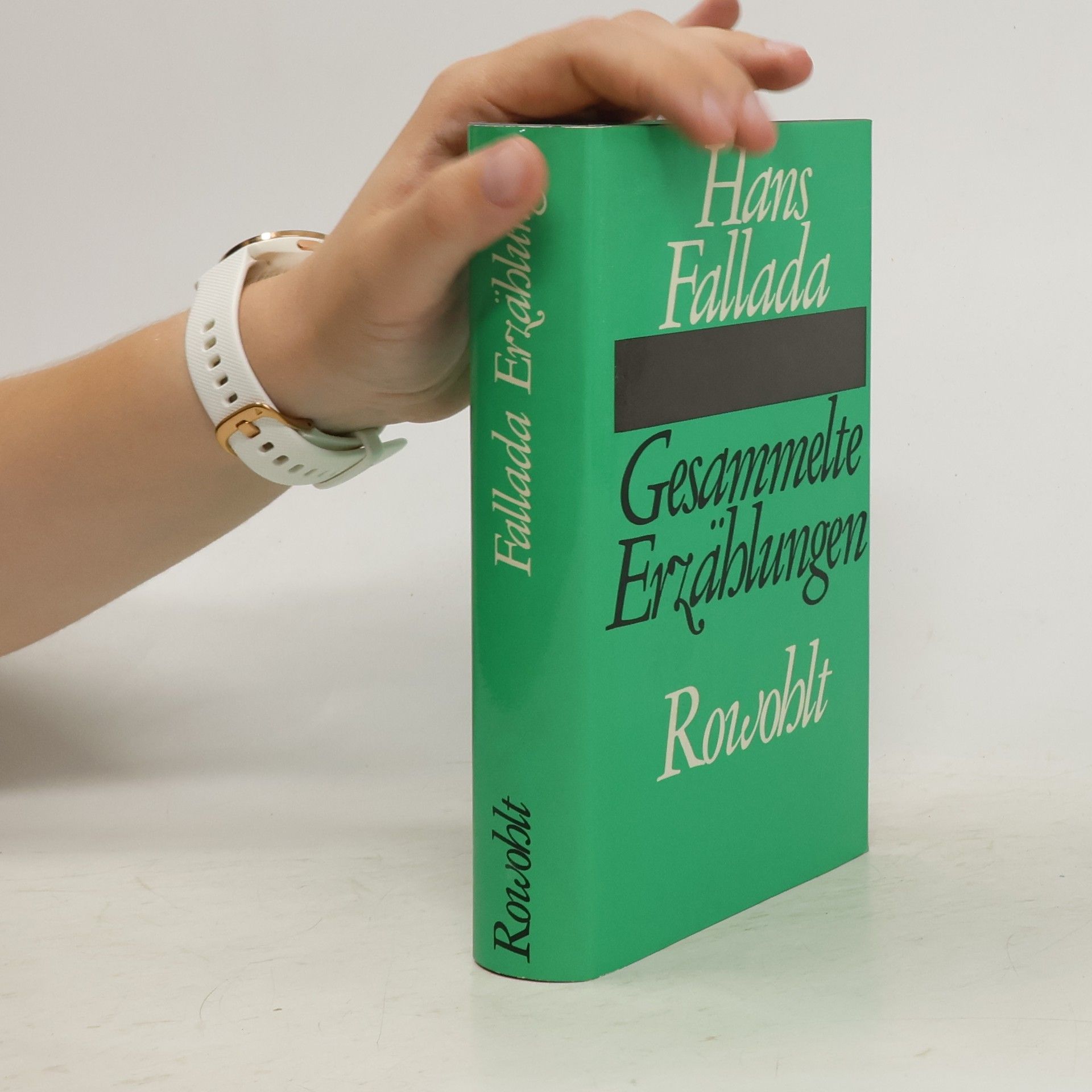 Hans Fallada Gesammelte Erzählungen