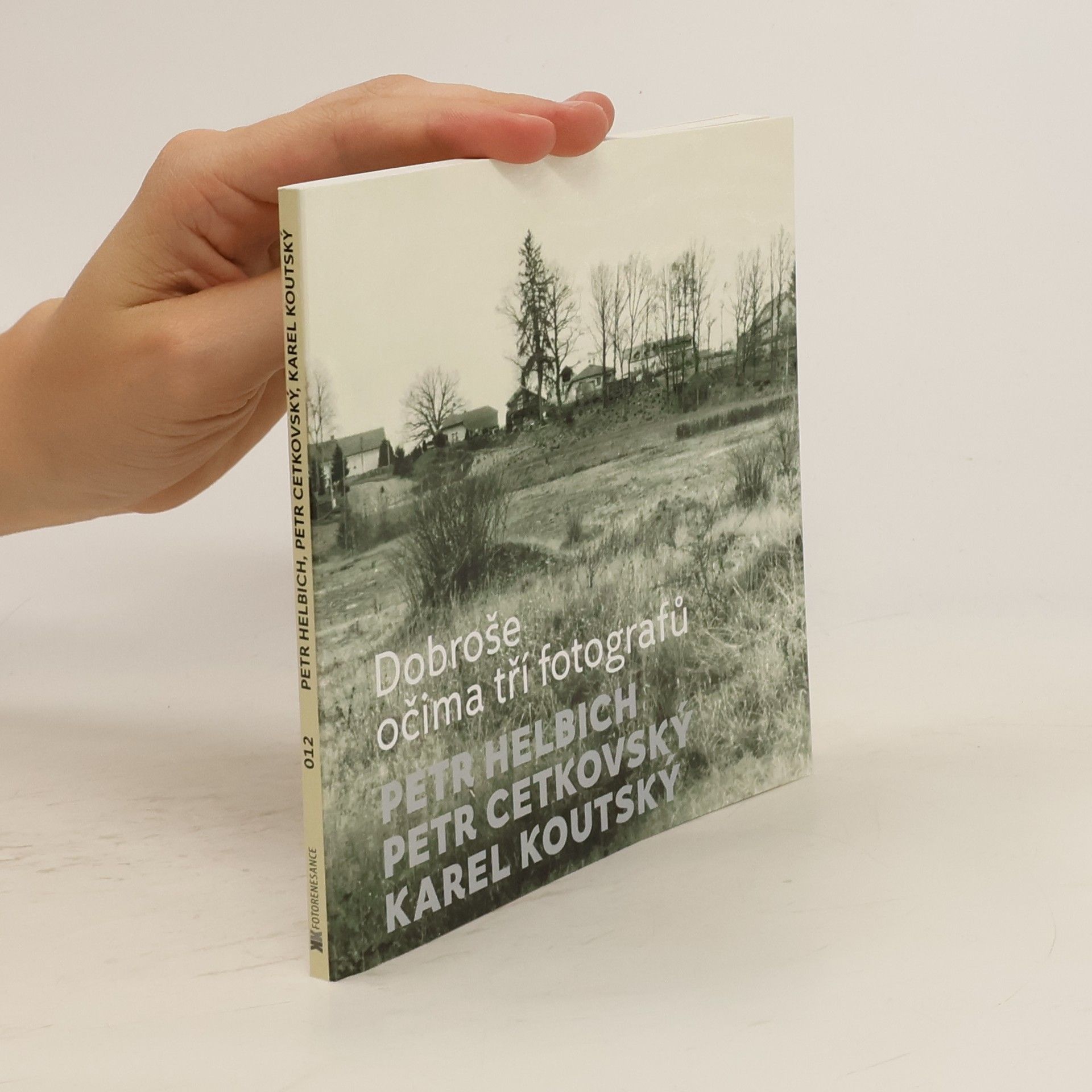 Collectif d'auteurs Petr Helbich, Petr Cetkovský, Karel Koutský