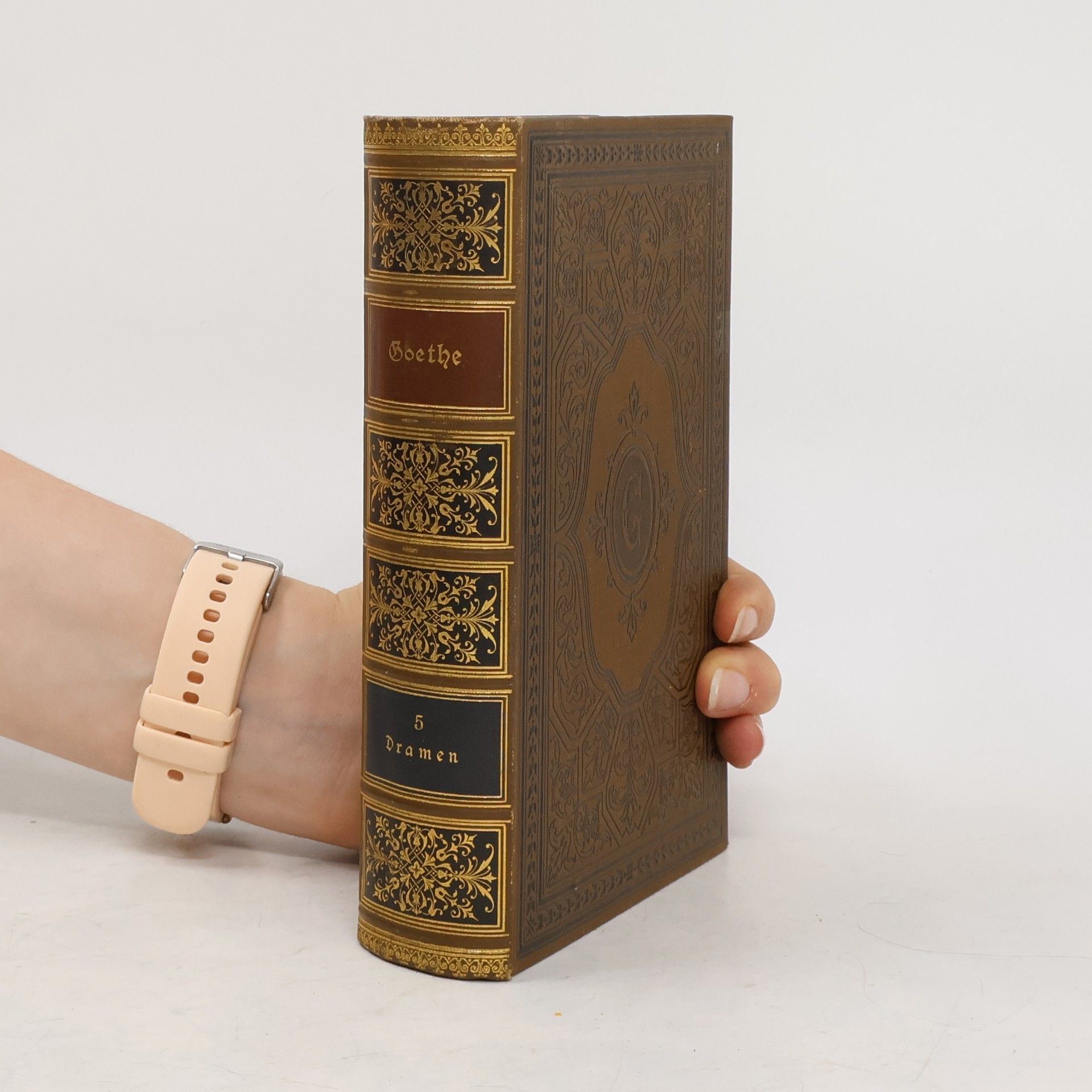 Johann Wolfgang von Goethe Goethes Werke 5. Dramen