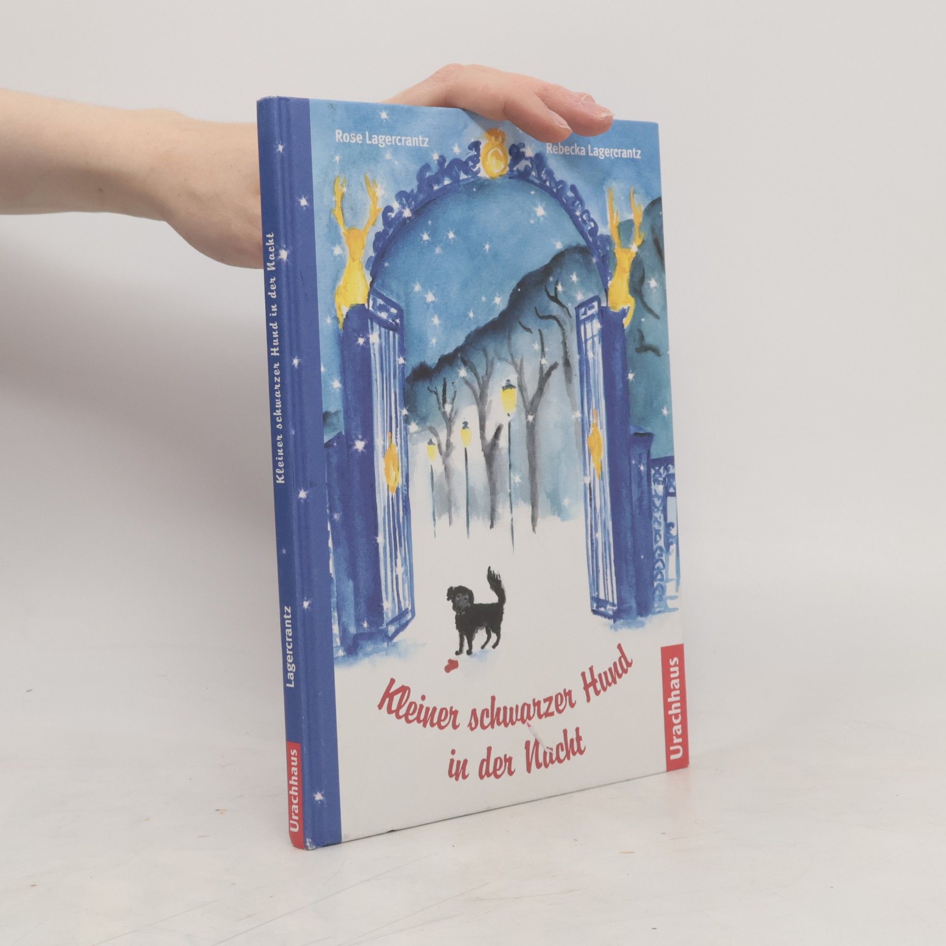 Rose Lagercrantz Kleiner schwarzer Hund in der Nacht