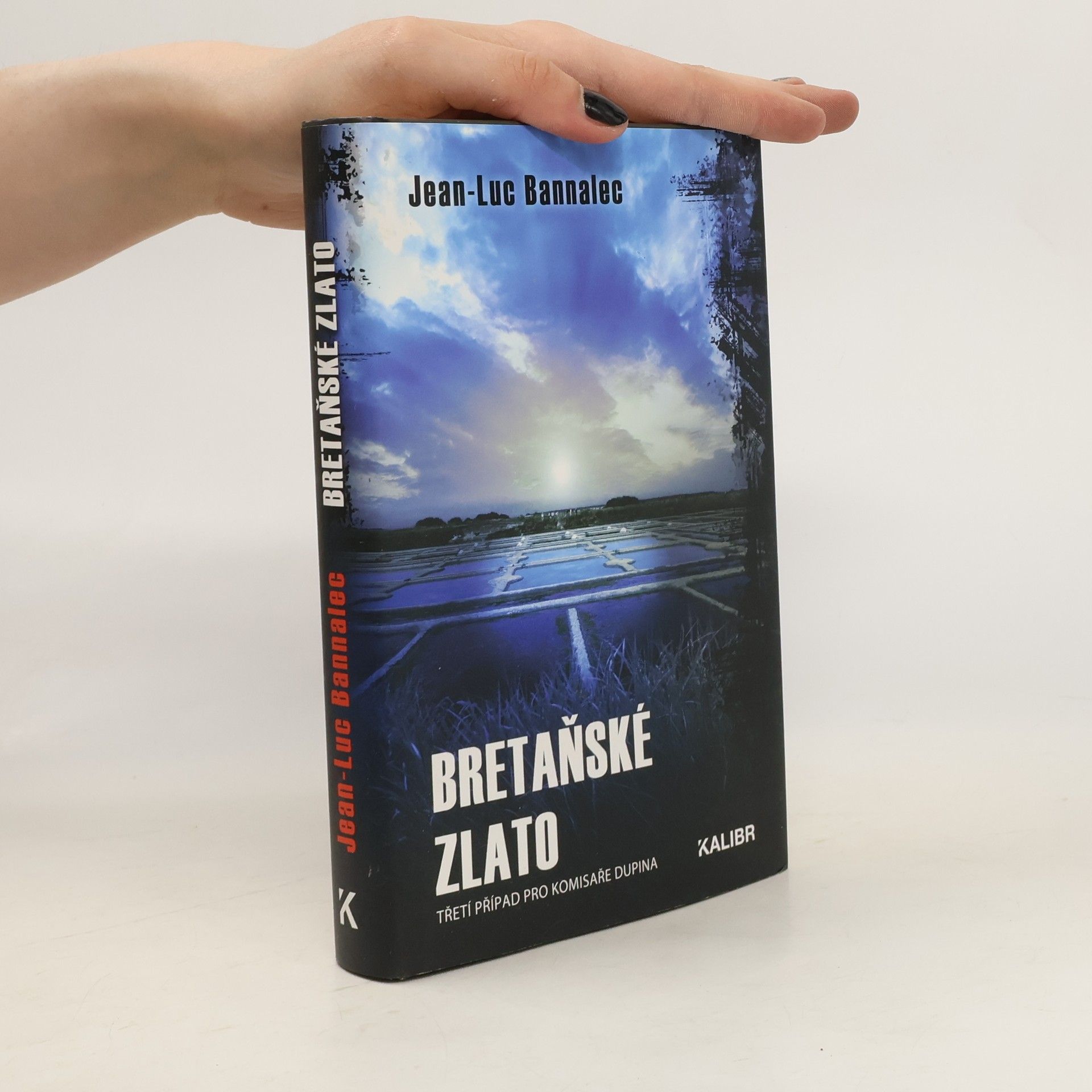 Jörg Bong Bretaňské zlato