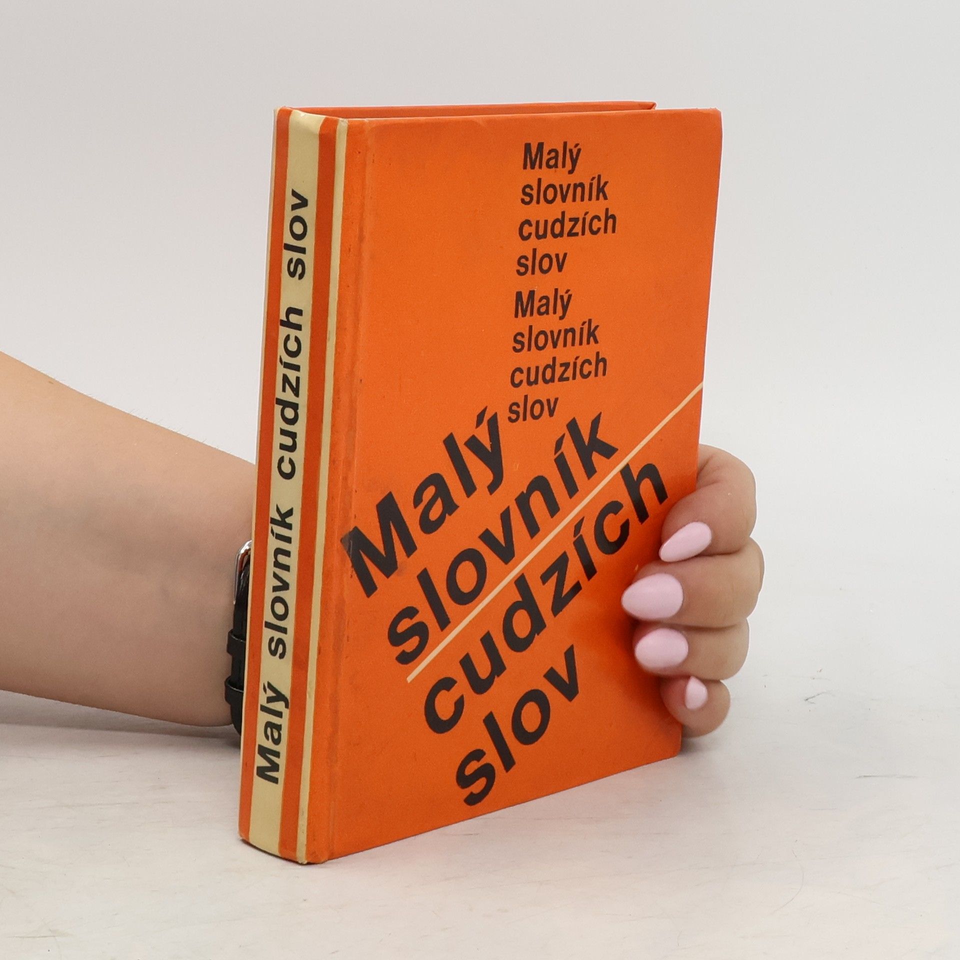 Mária Ivanová Šalingová Malý slovník cudzích slov