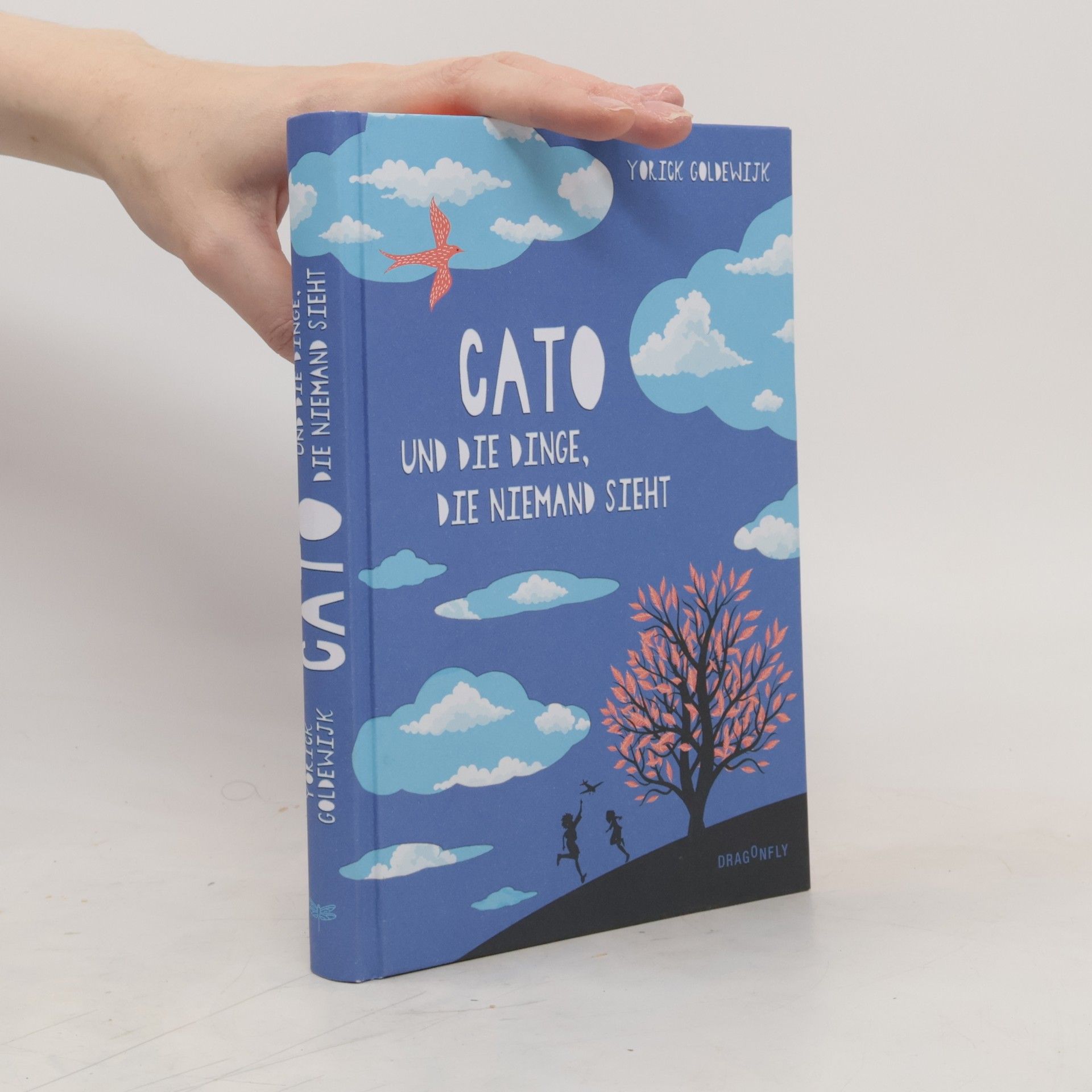 Yorick Goldewijk Cato und die Dinge, die niemand sieht
