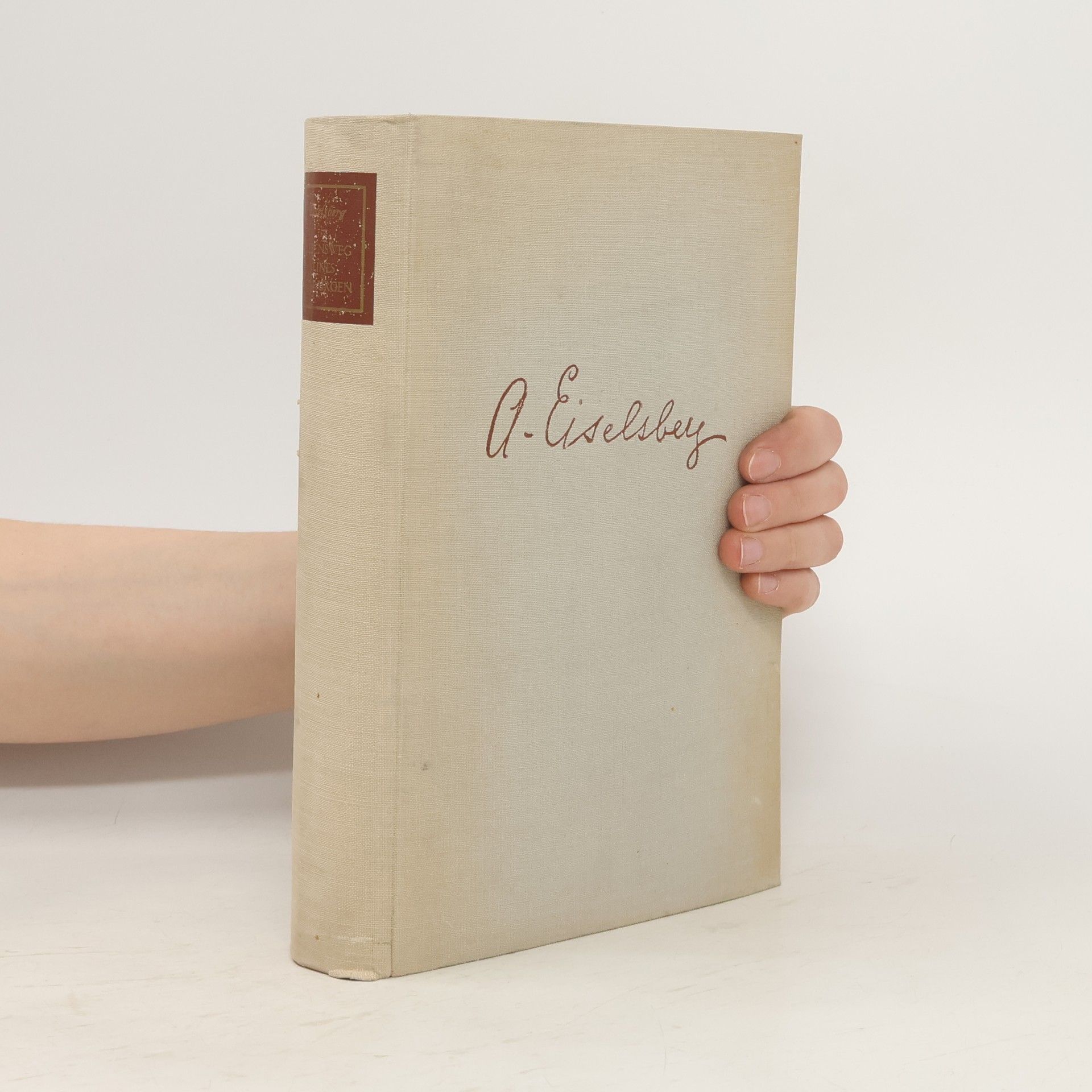 Anton von Eiselsberg Lebensweg eines Chirurgen